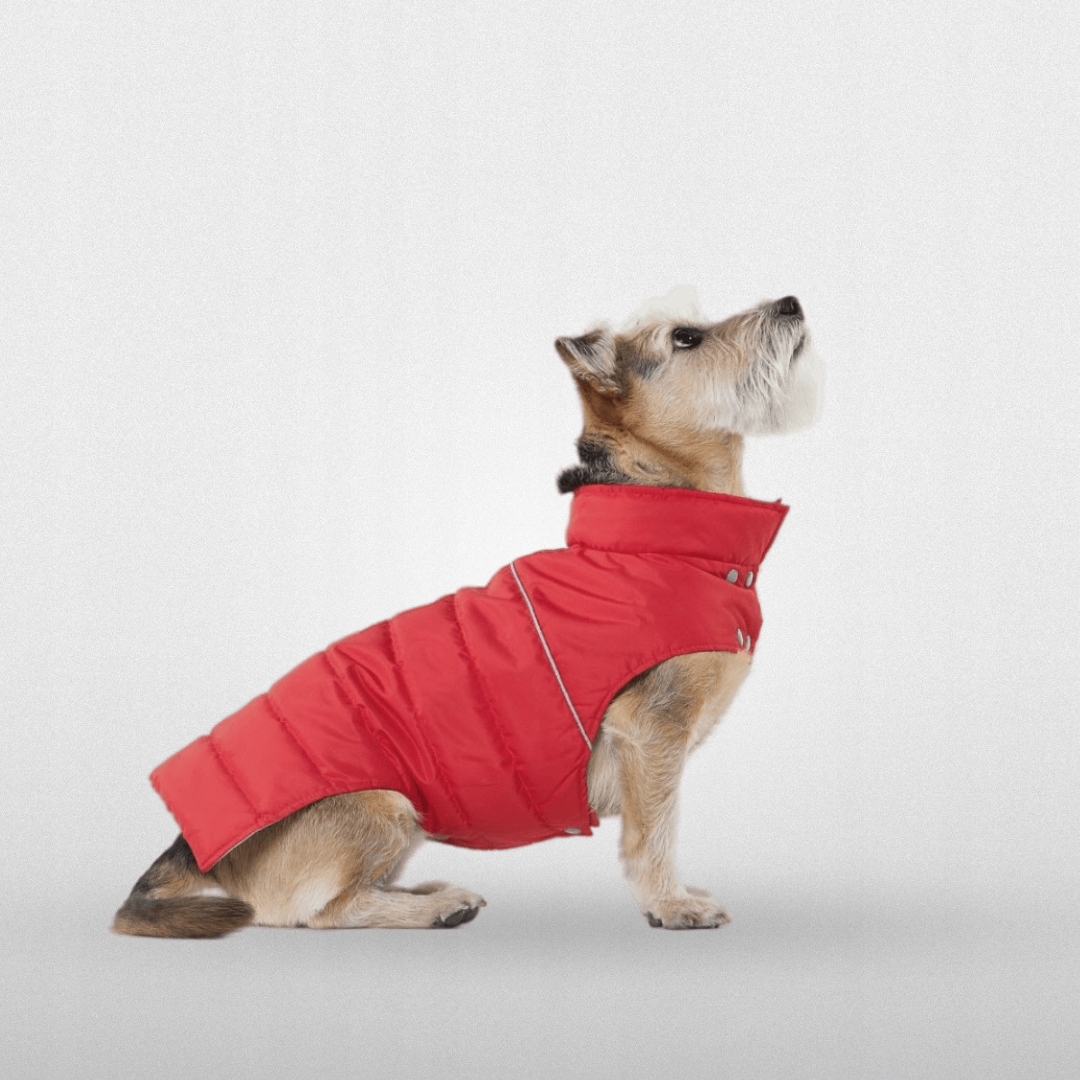 Bunda Derka Pro Psa Červená Woofit červená 5-S