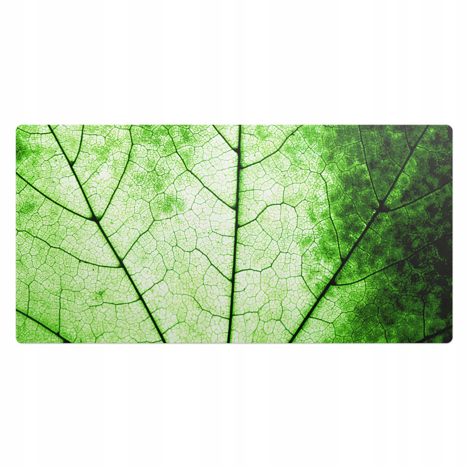 Podložka na psací stůl s potiskem Listy – motiv s výraznými žilkami 100 x 50 cm