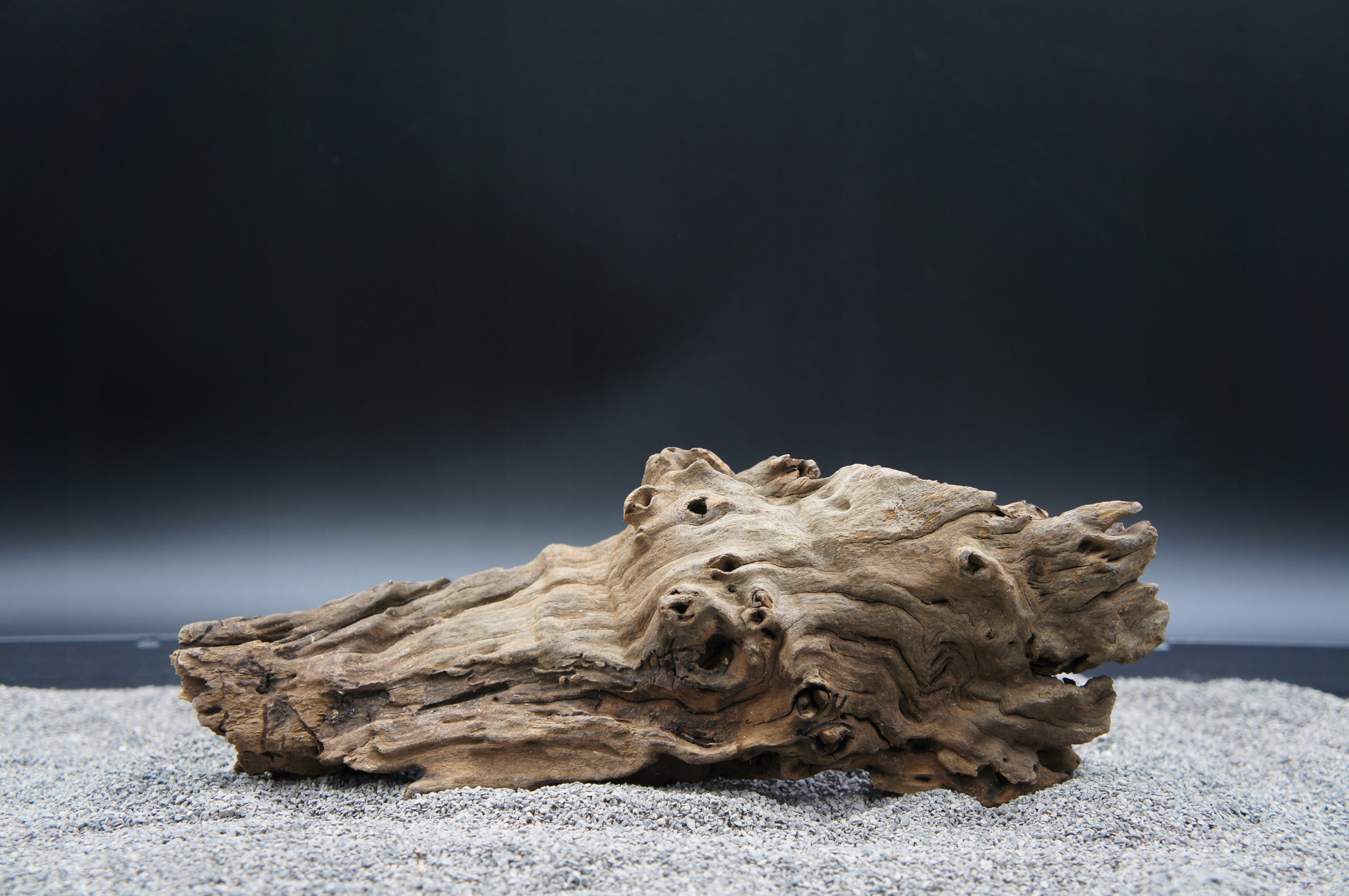 Levně Kořen do terarijního akvária jagged wood 28 cm Ten, Který Je Na Obrázku (J31)