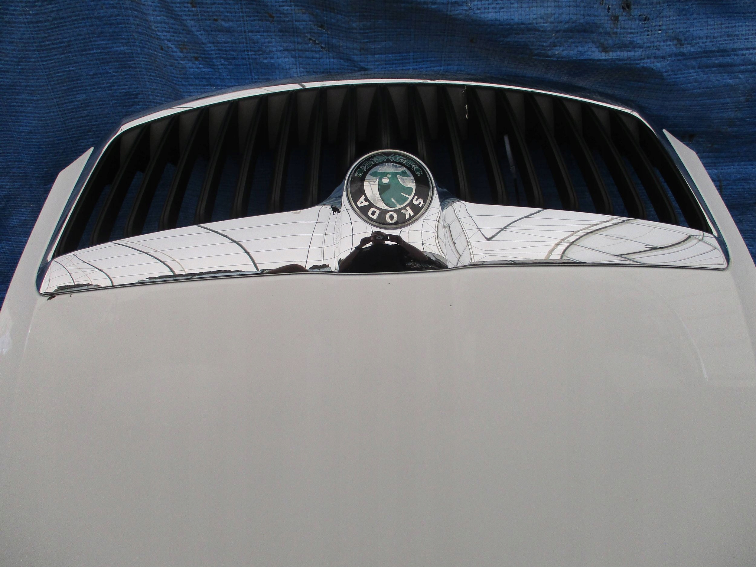 Ba1000584e7b901f426f86da7a44