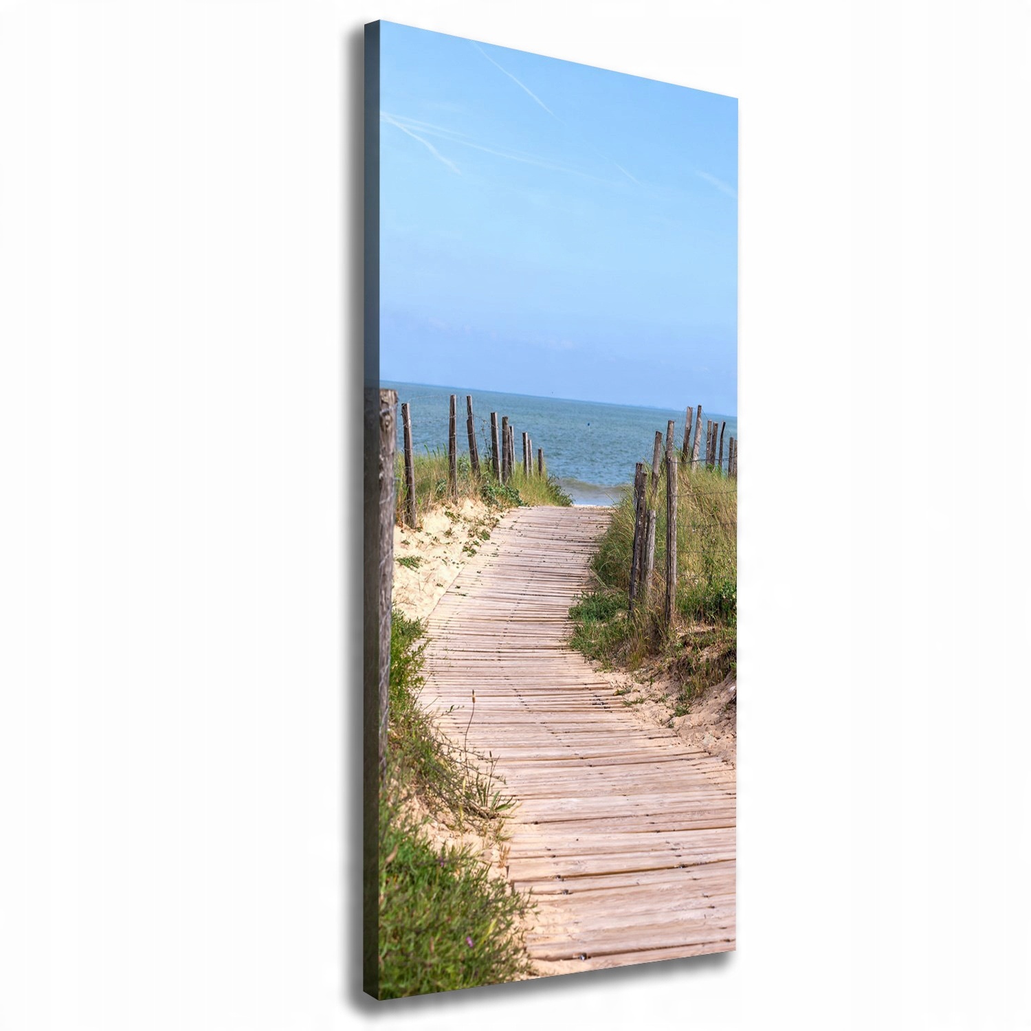

Foto obraz na płótnie Ścieżka na plażę 50x125 cm