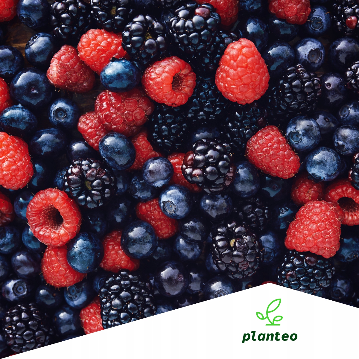 BIO NAWÓZ NATURALNY PŁYN SMACZNE OWOCE PLANTEO 1L Pojemność 1 l