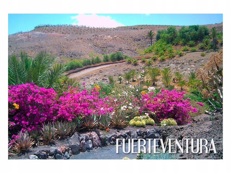 

Fuerteventura Wyspa Magnes na lodówkę