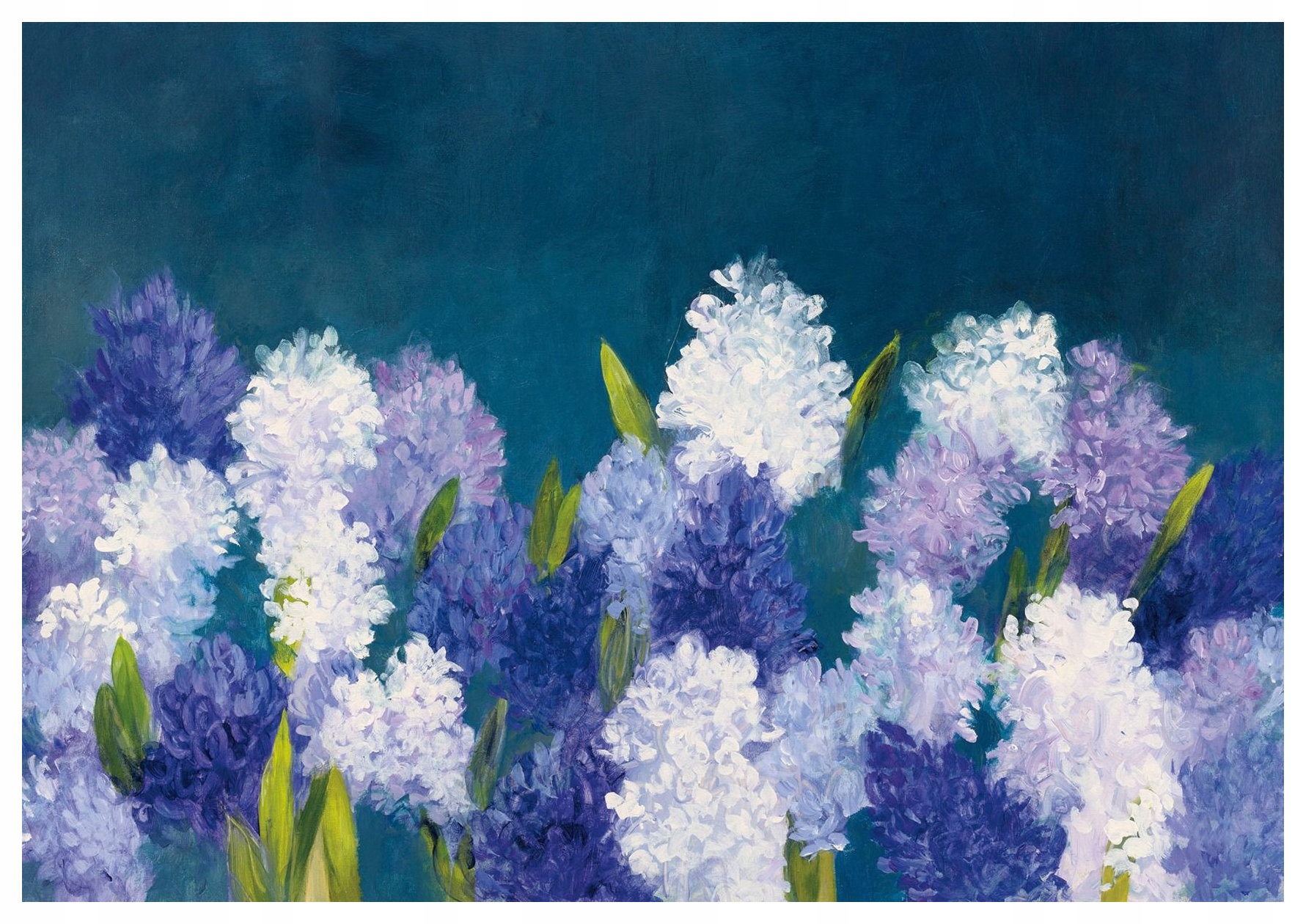 Fototapeta Hyacinty tmavě modré květy elegance 312x219 lepidlo