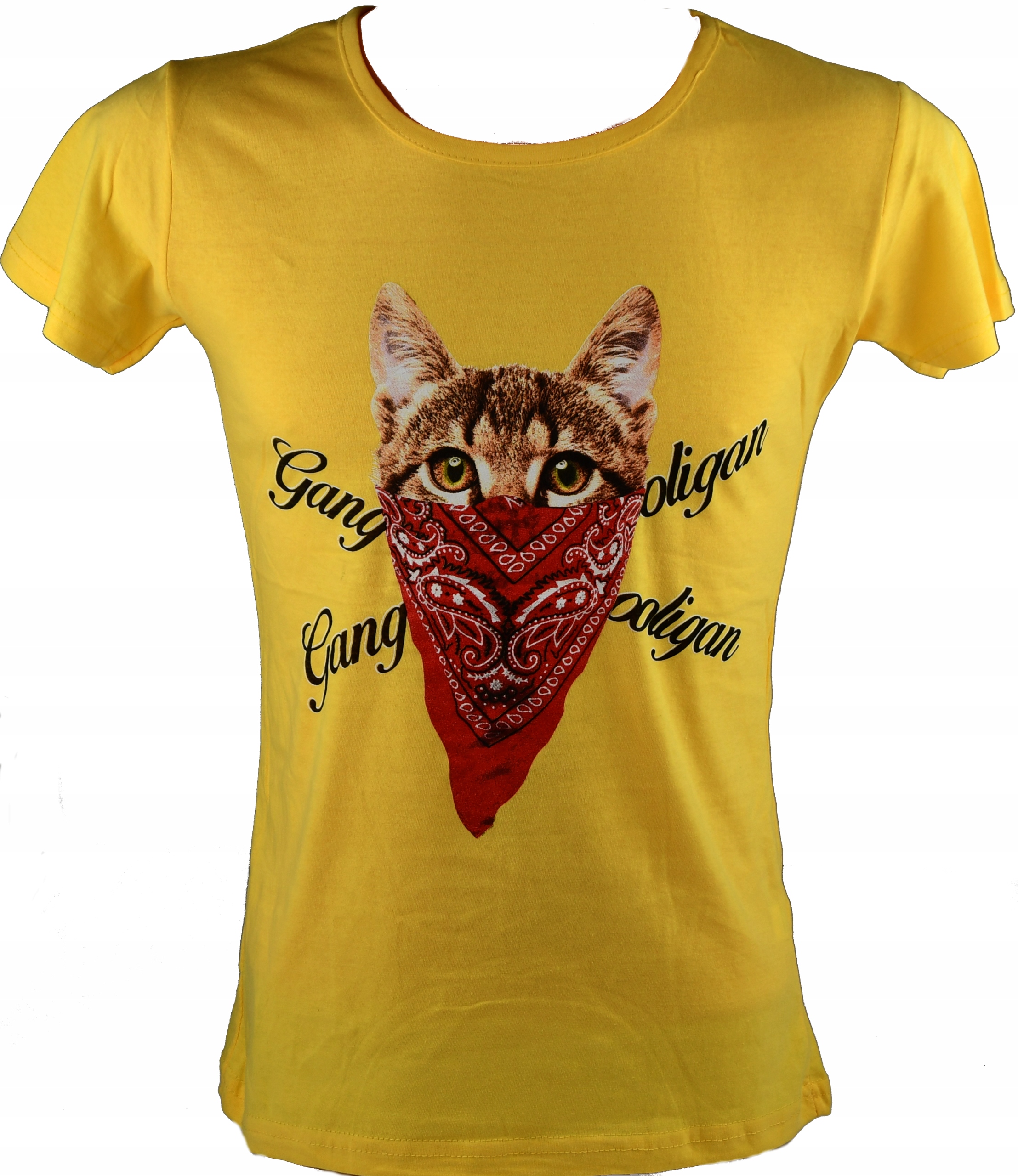 

T-shirt Koszulka Bluzka Damska Nadruk Kot R. S