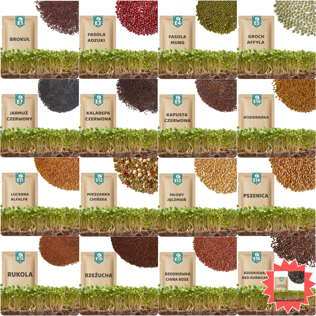 Levně 51Seed Sada Semínka Na Klíčky MIX Odrůd Snadné Pěstování Cca 62 Tisíc Semen