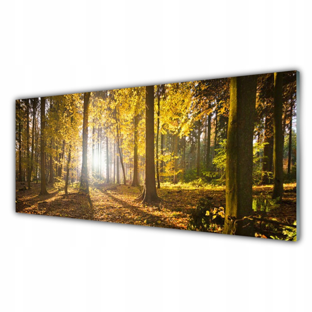 

Obraz z nadrukiem 125x50 Las Liście Roślina Natura