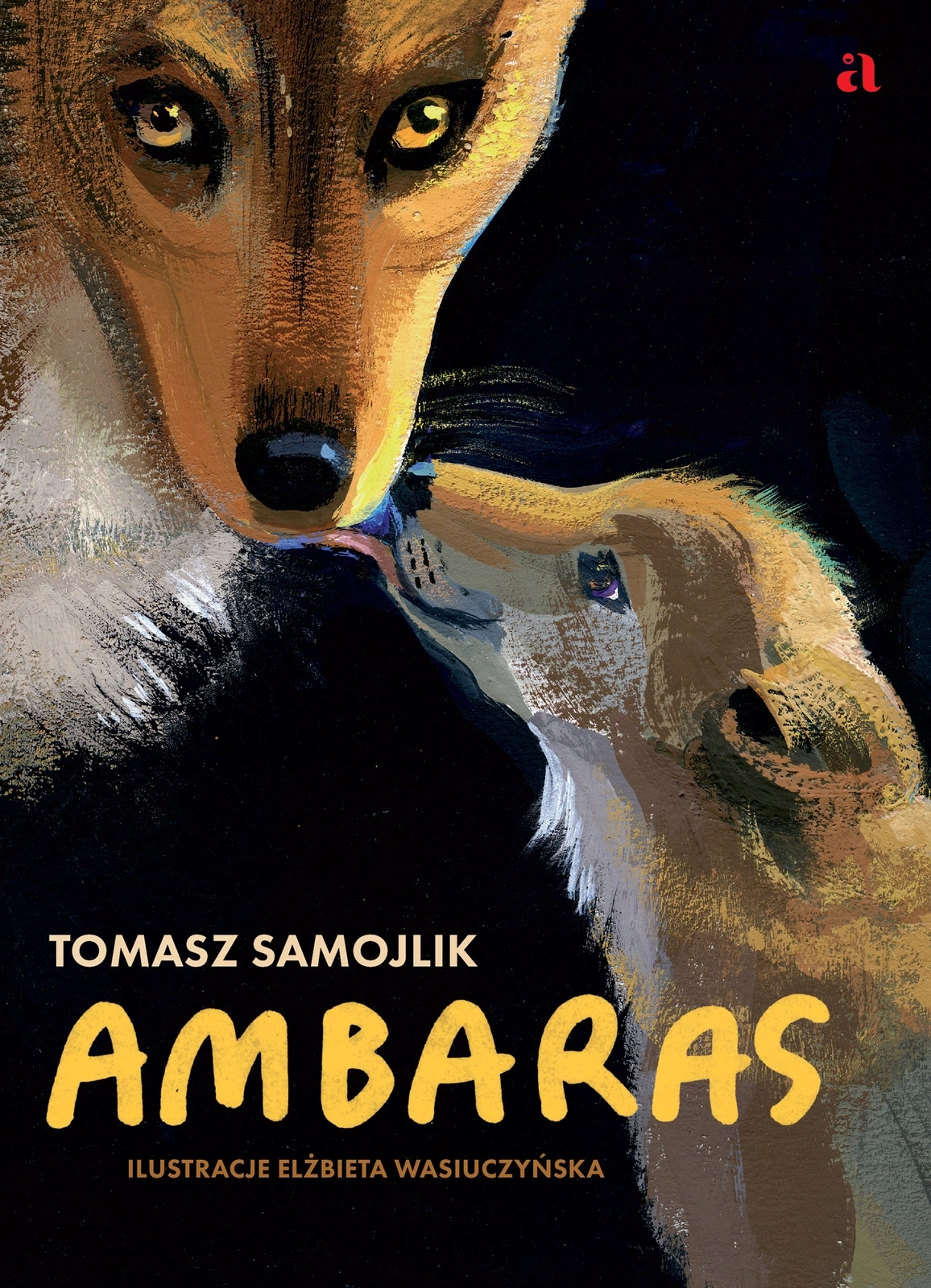 Ambaras - Tomasz Samojlik
