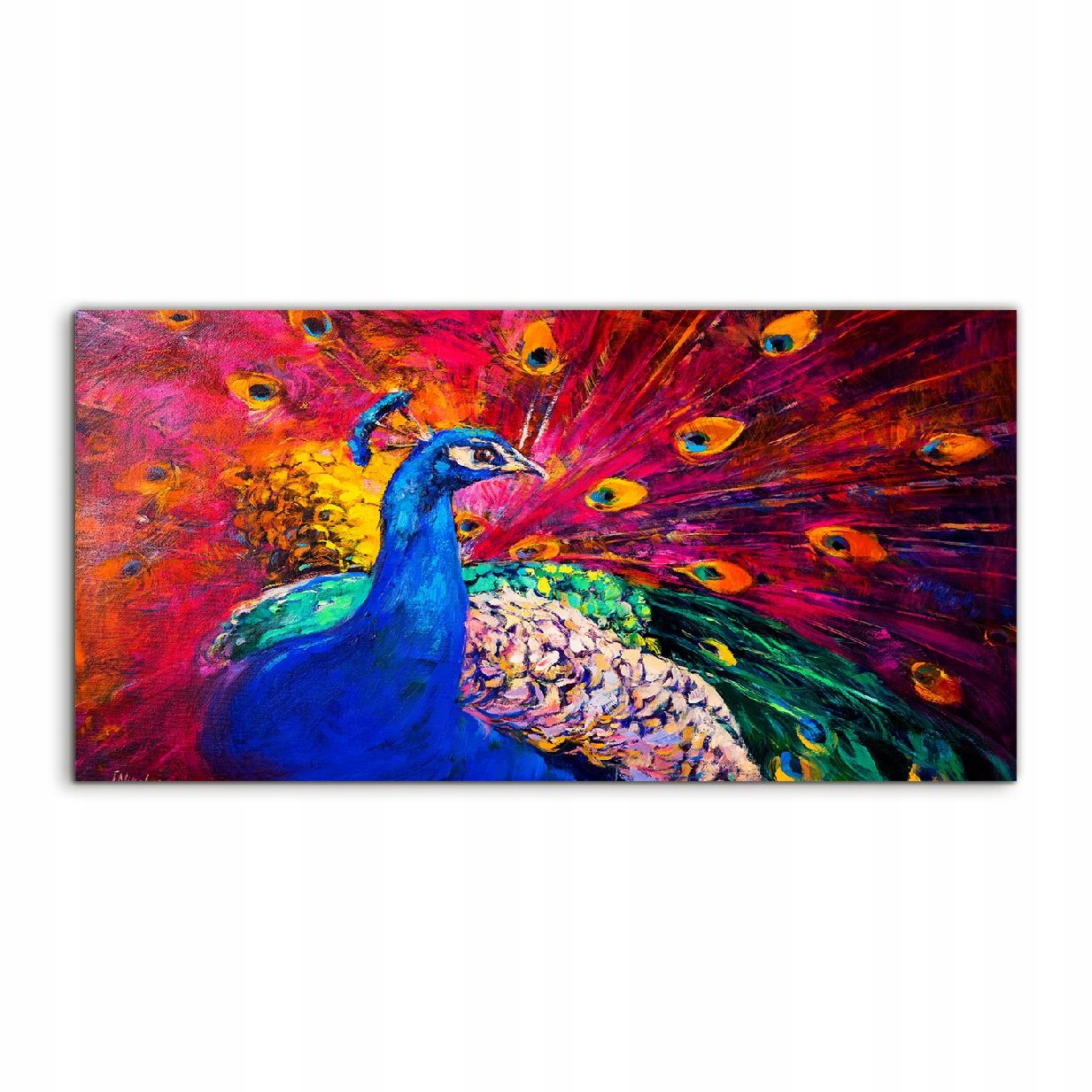 

Fotoobraz akryl 100x50 na ścianę Ptak Zwierzę Paw