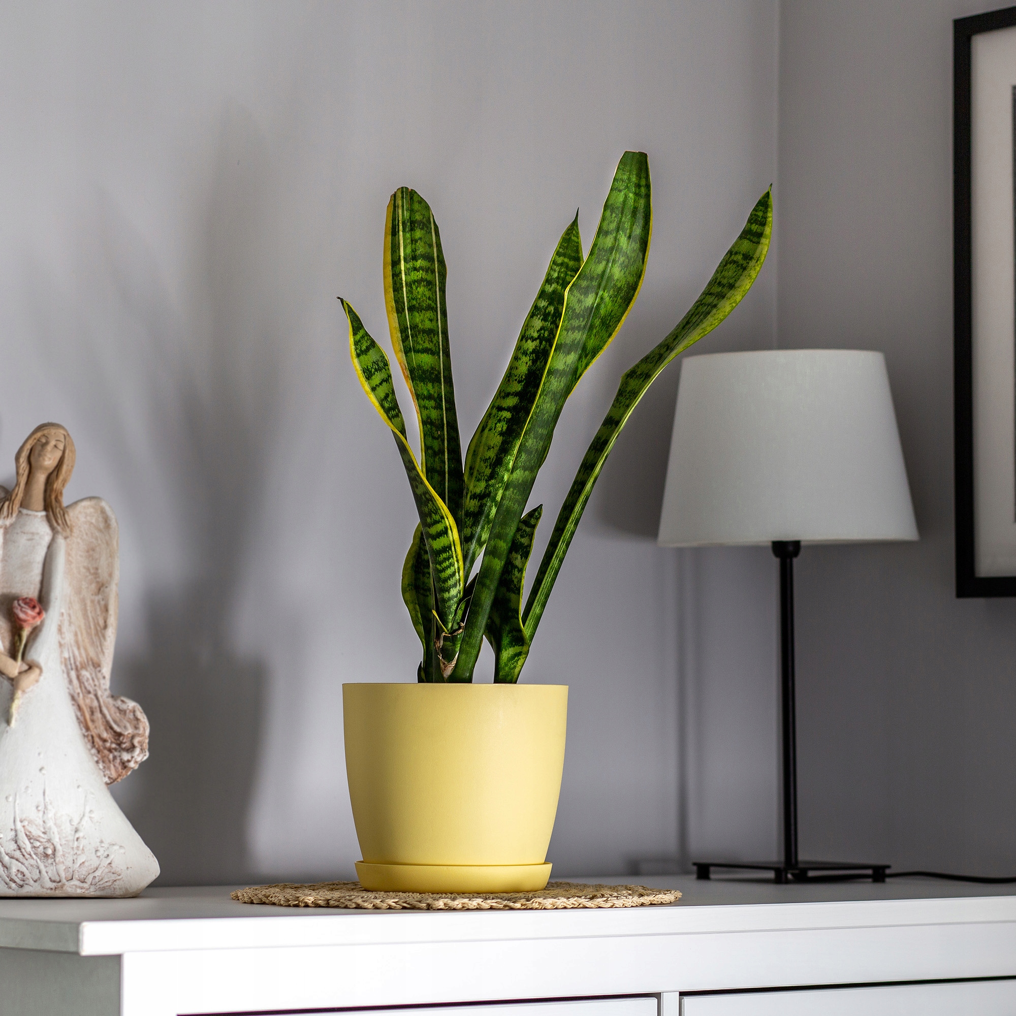 DONICZKA OSŁONKA DONICA 16cm NA KWIATY MATOWA ŻÓŁTA PLASTIKOWA PODSTAWKA Kod producenta K2099