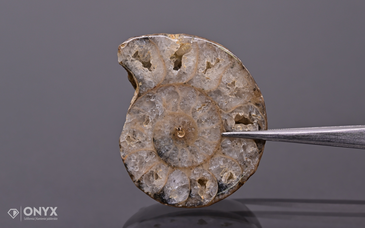 Amonit z Madagaskaru nepravidelný 41x34 mm