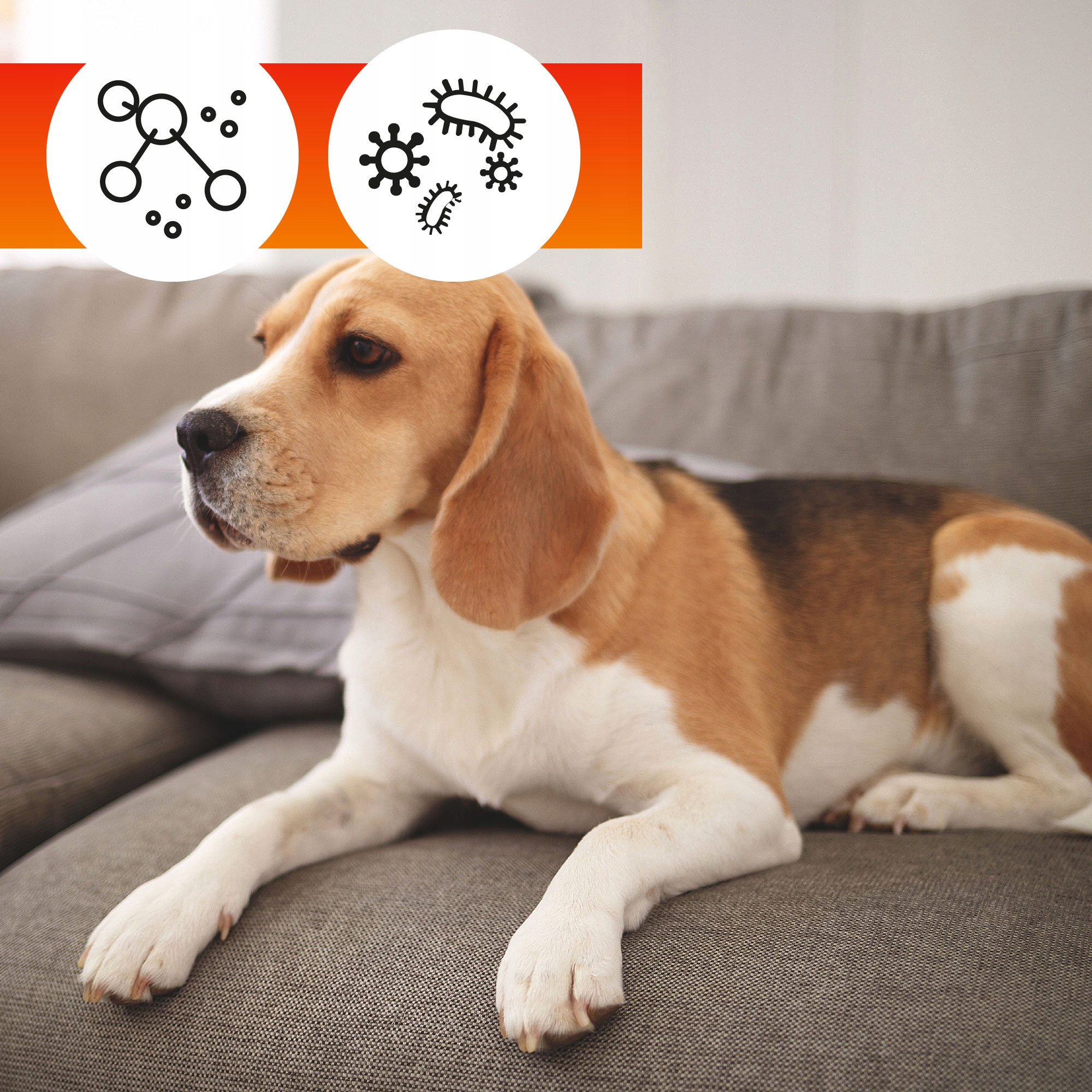 Zestaw do CZYSZCZENIA IMPREGNACJI ODPLAMIANIA tapicerki materiałowej OA Przeznaczenie uniwersalne