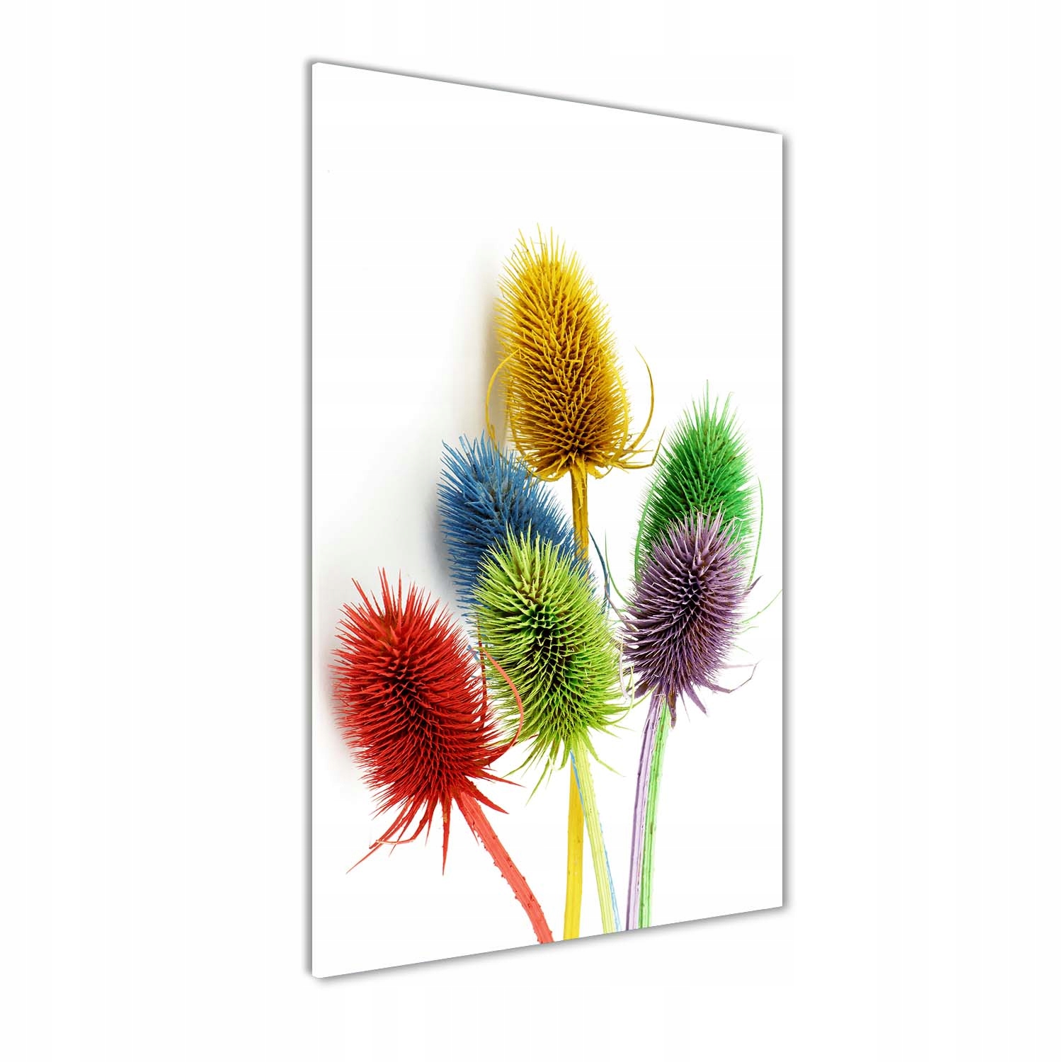 

Nowoczesny foto obraz na ścianę Oset 50x100 cm