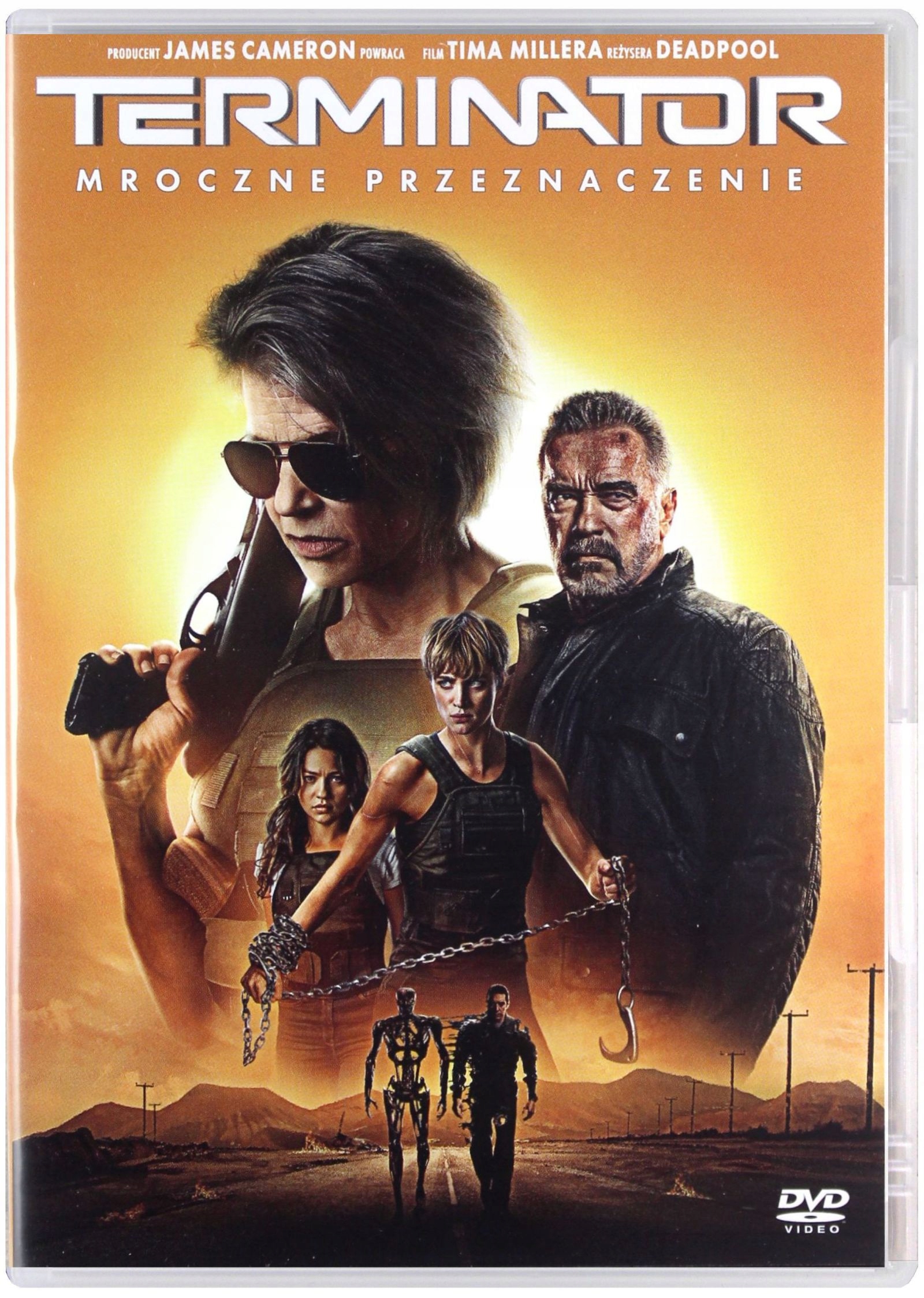 

Terminator: Mroczne Przeznaczenie (DVD)