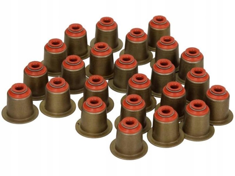 ZESTAW USZCZELNIACZY TRZONEK ZAWORU BMW M57B30