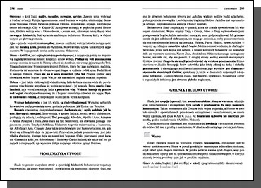 Iliada Homer Nośnik książka papierowa