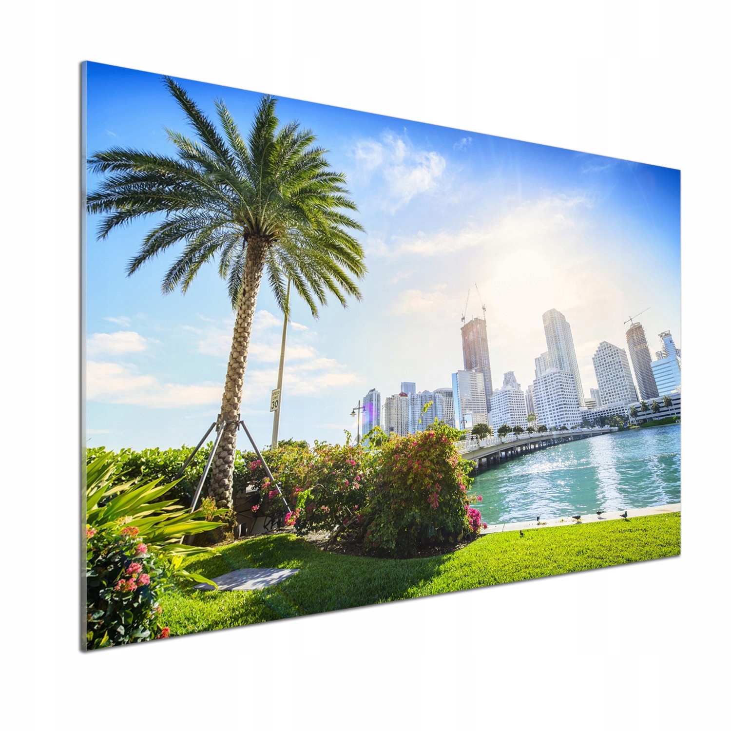 Panel medzi nábytkom v kuchyni Miami Usa 100x70 Lepidlo