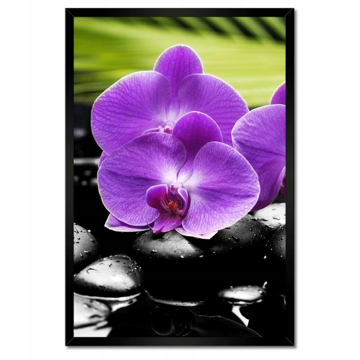 Plakáty v rámu 40x60 Fialové orchideje