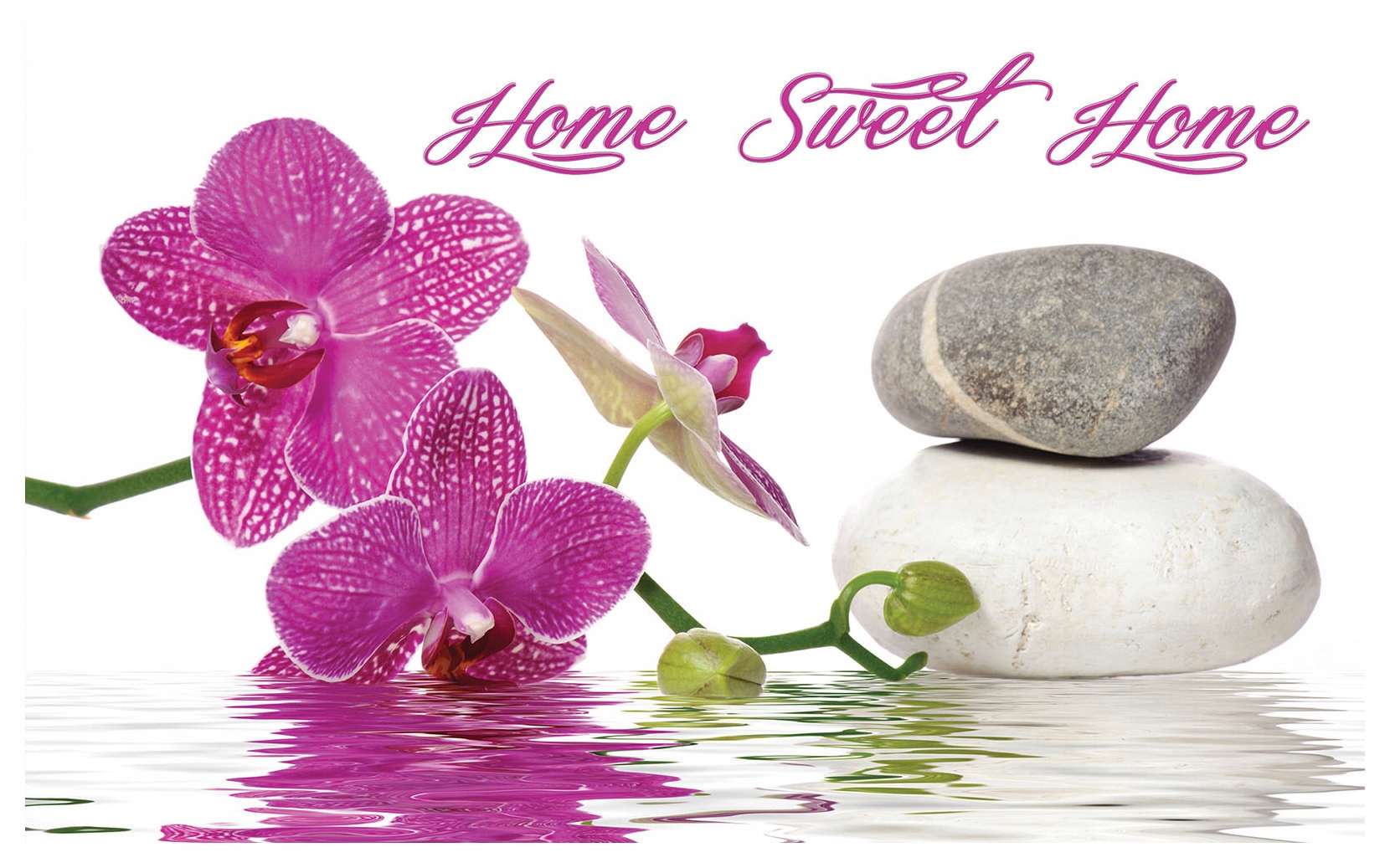 Fototapeta Orchidey kamene Dom Sladký dom ružová biela 416x254 lepidlo