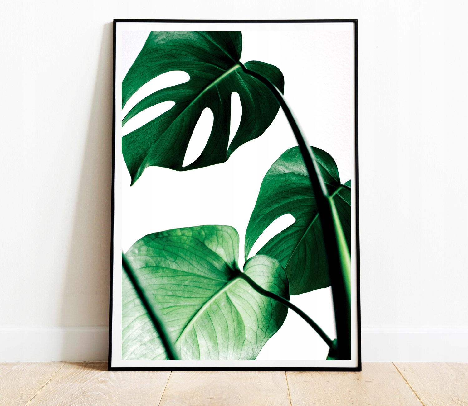 OBRAZY PLAKATY ZESTAW 3 SZTUKI A3 30,00 x 40,00 cm ROŚLINY LIŚCIE Marka inna