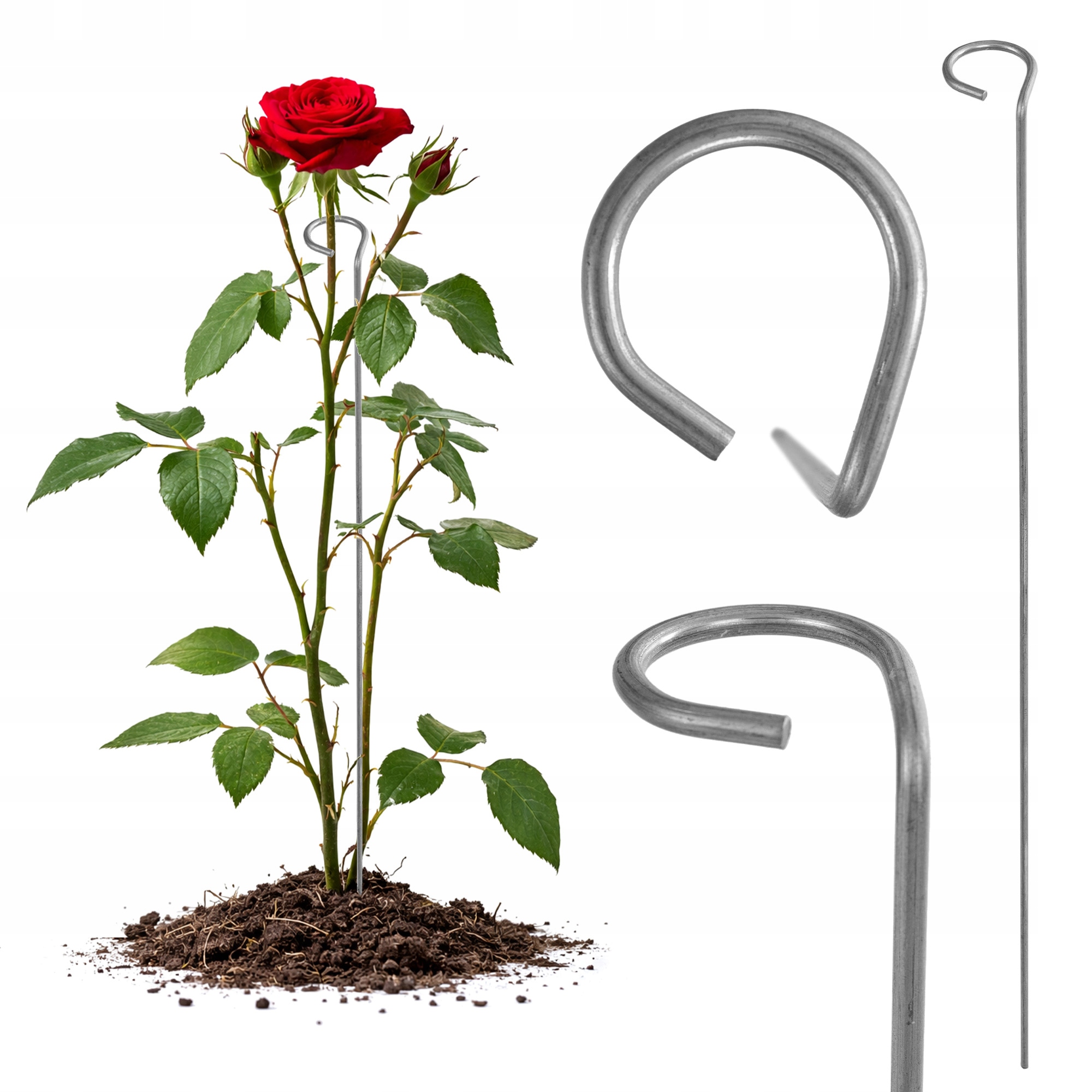 PODPORA DO ROŚLIN OBEJMA KWIATÓW RÓŻ METALOWA NA KWIATY PODPÓRKA MOCNA 60cm