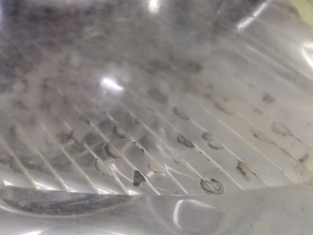 FIAT DUCATO 3 light right front