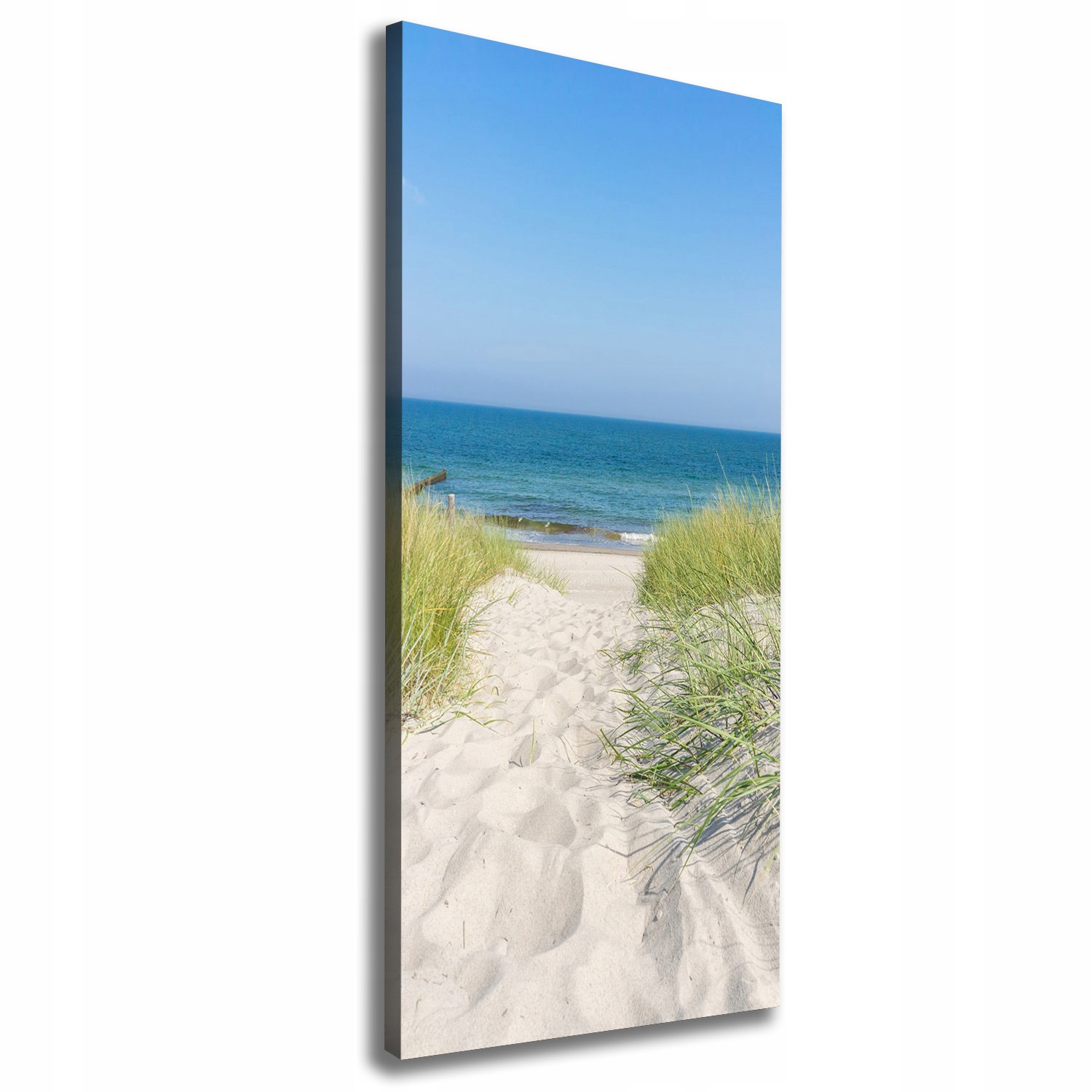 

Foto obraz na płótnie Nadmorskie wydmy 50x125 cm