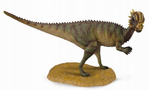 

Dinozaur Pachycephalosaurus