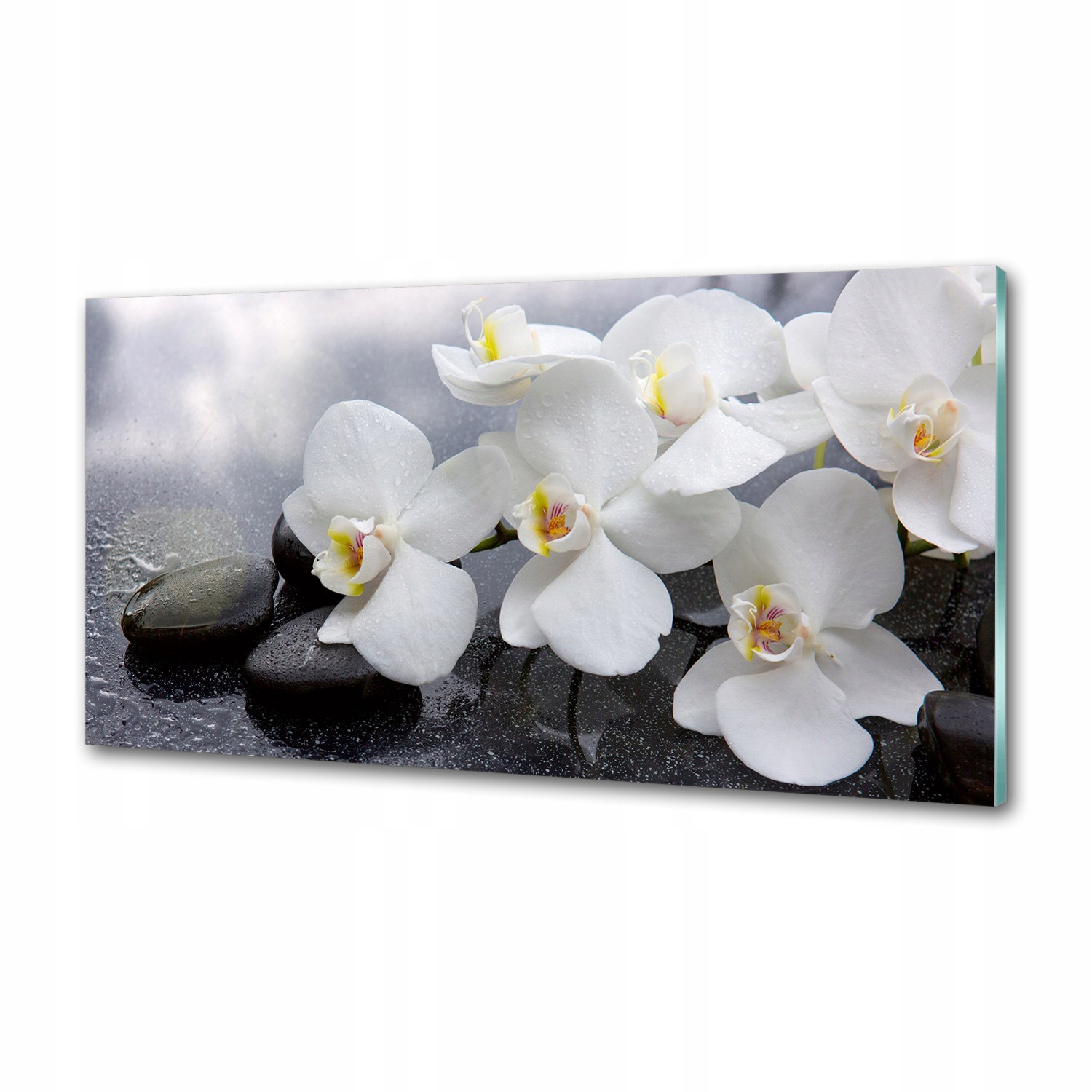 Panel medzi nábytkom v kuchyni Orchidea 100x50 Lepidlo