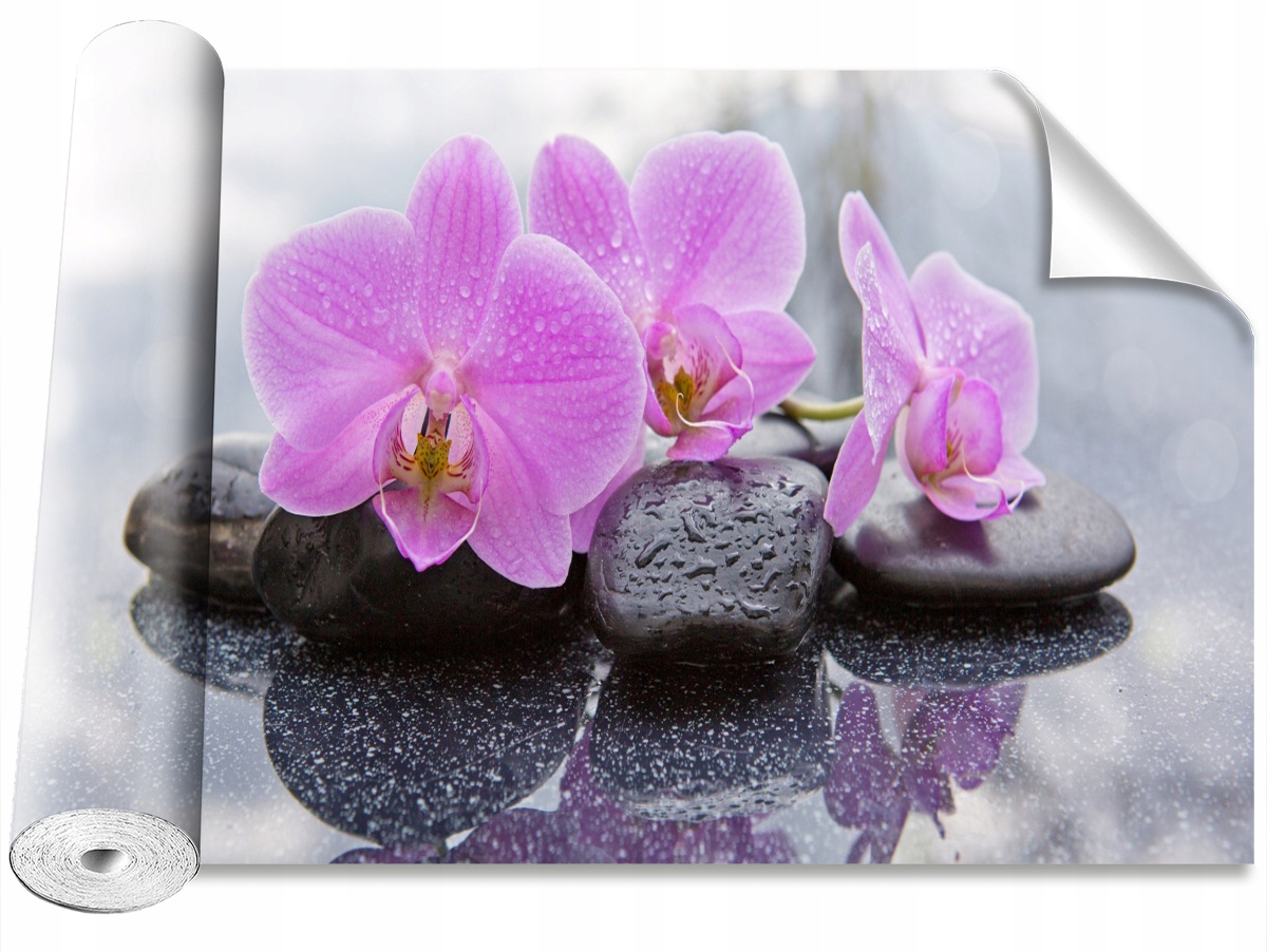 

Tapeta Samoprzylepna Orchidea Kamienie 104x70