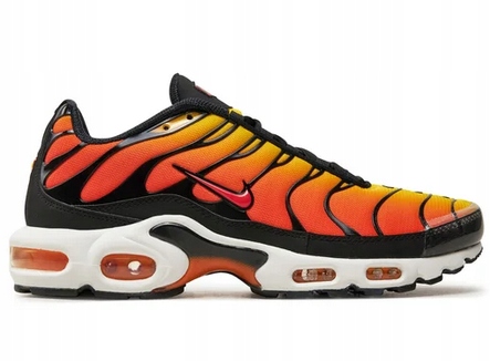 Pánské boty Nike Air Max Plus HF0552-001 Vel. 46