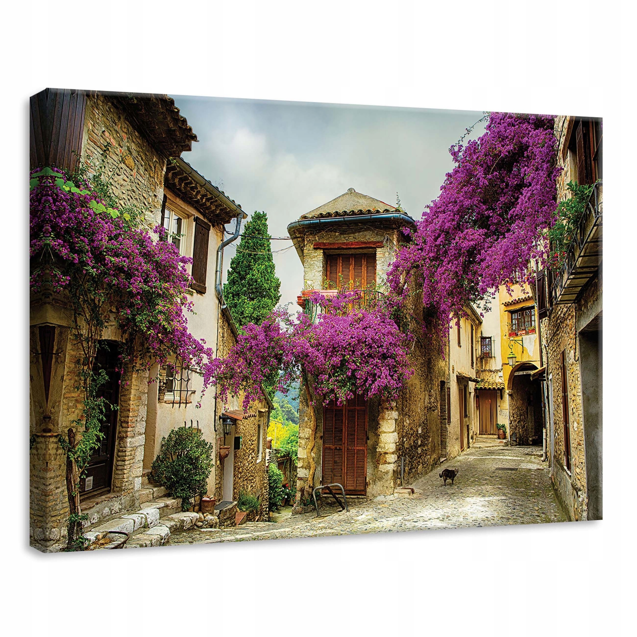Obraz 70x50 Staré středomořské městečko úzká kamenná ulička