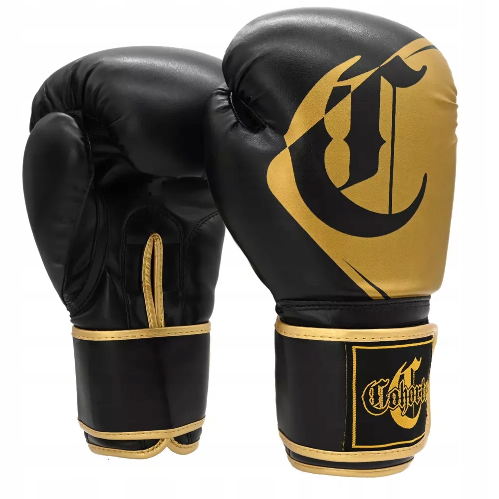 Boxerské rukavice Sparingové Trénink Box Kickbox Cohortes Aura 10 oz