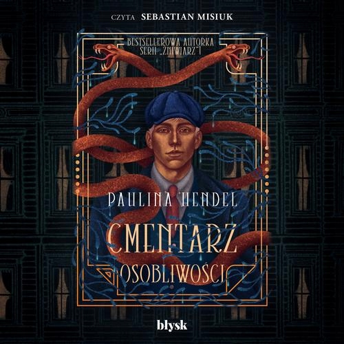 (Audiobook mp3) Cmentarz osobliwości