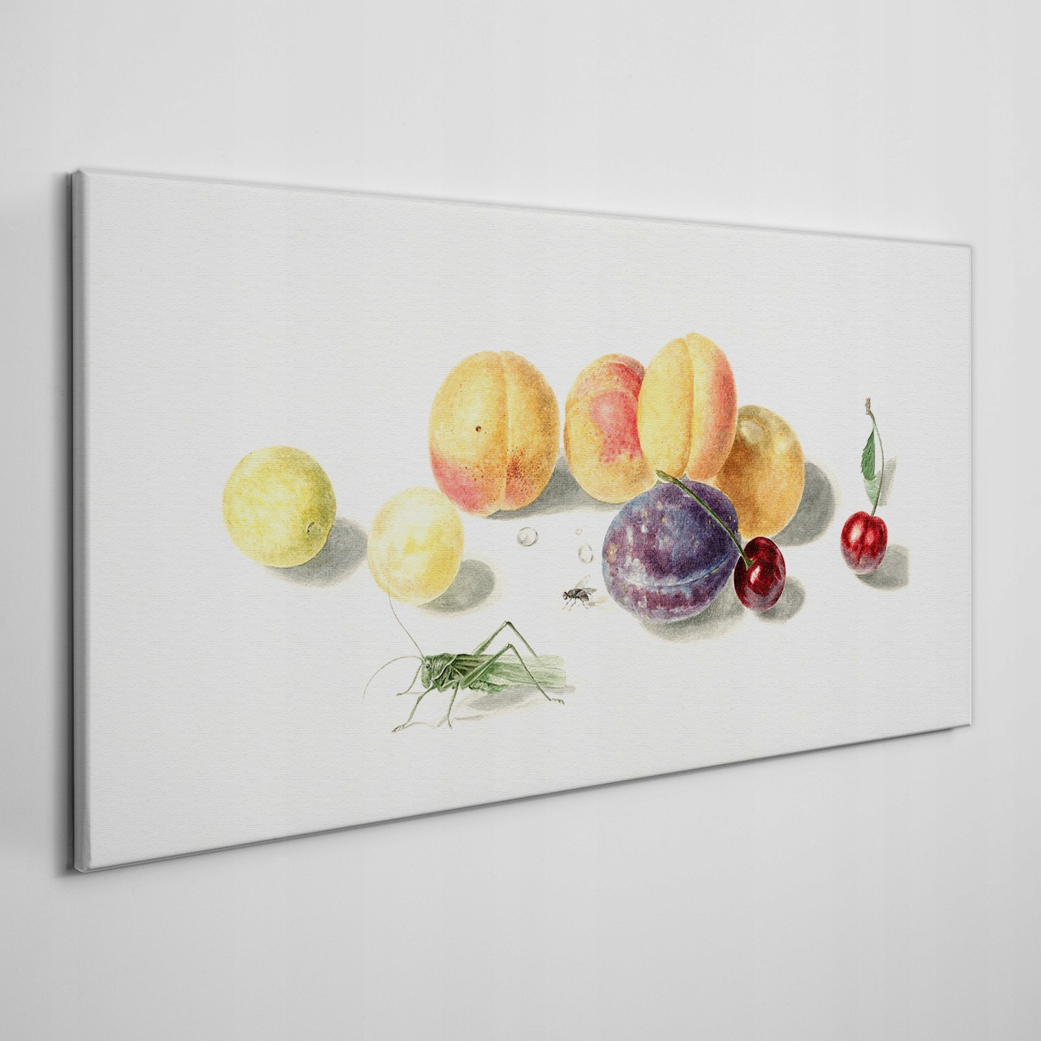 

Obraz na płótnie Owoce wiśnie brzoskwinie 120x60