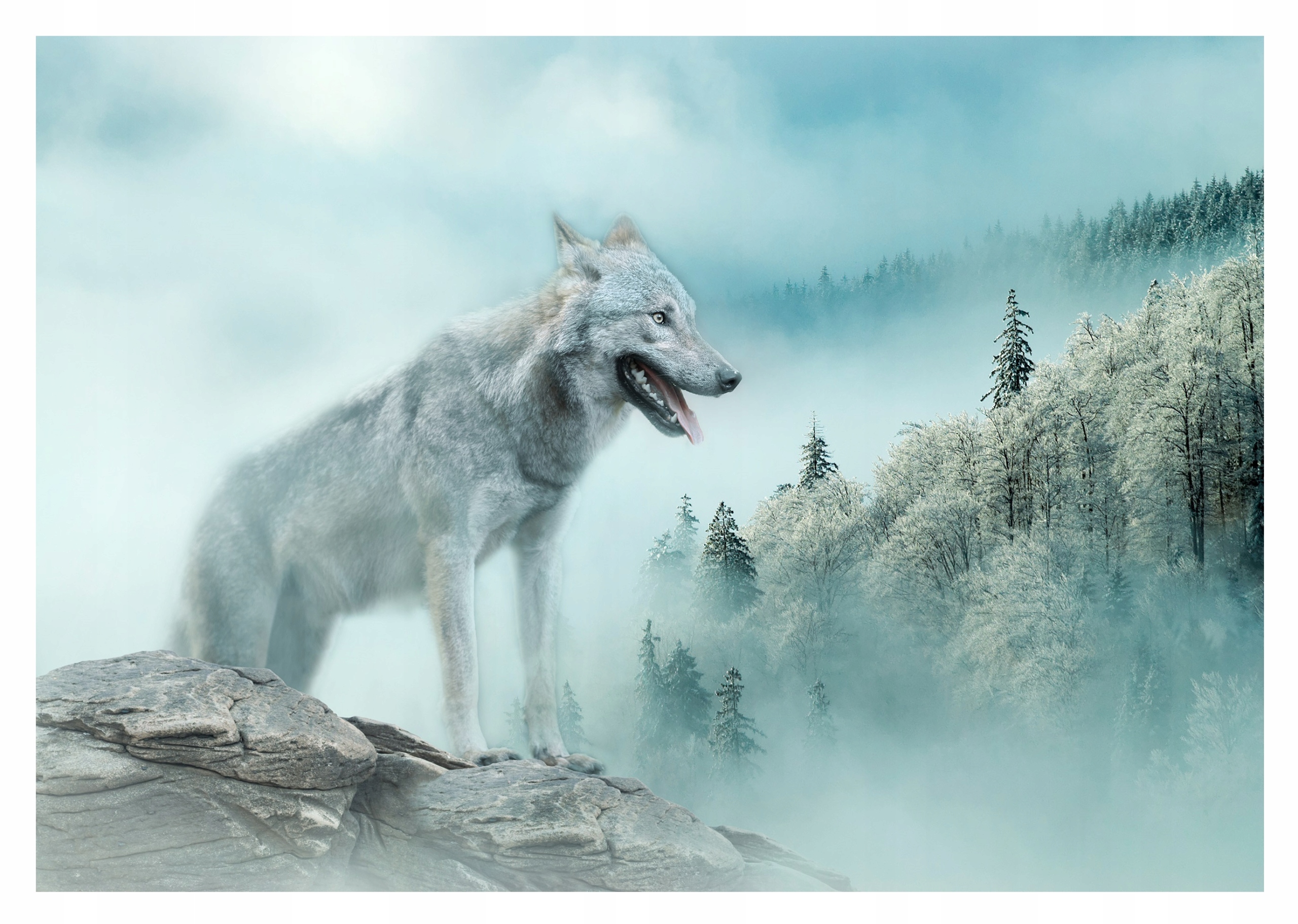 Fototapeta Vlk Zima Les Hory Krajina Příroda Tapeta Ložnice 368x254