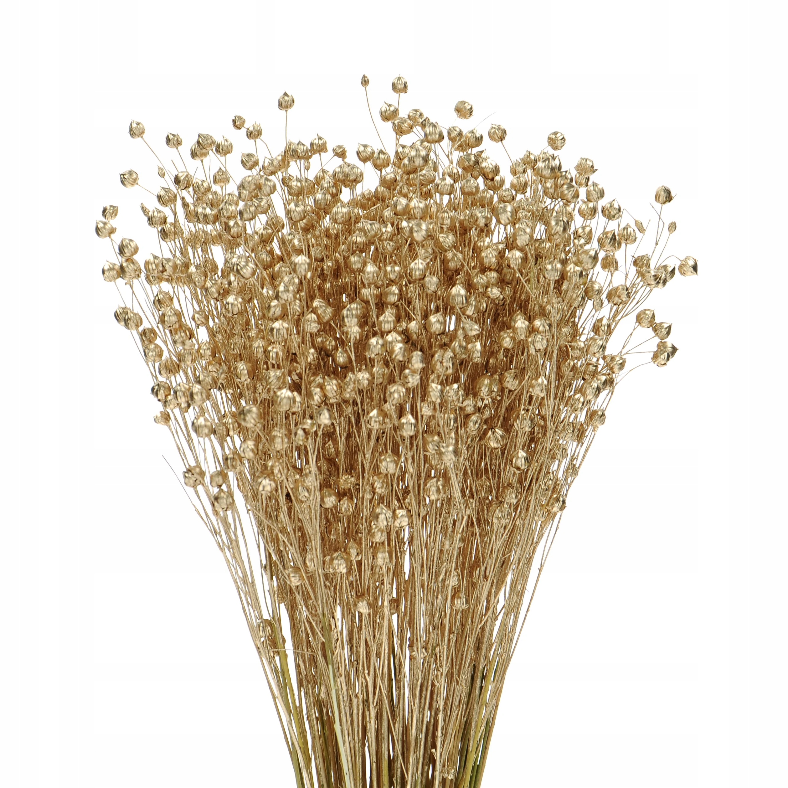 

Suszony len złoty, bukiet, suszone kwiaty, suszki