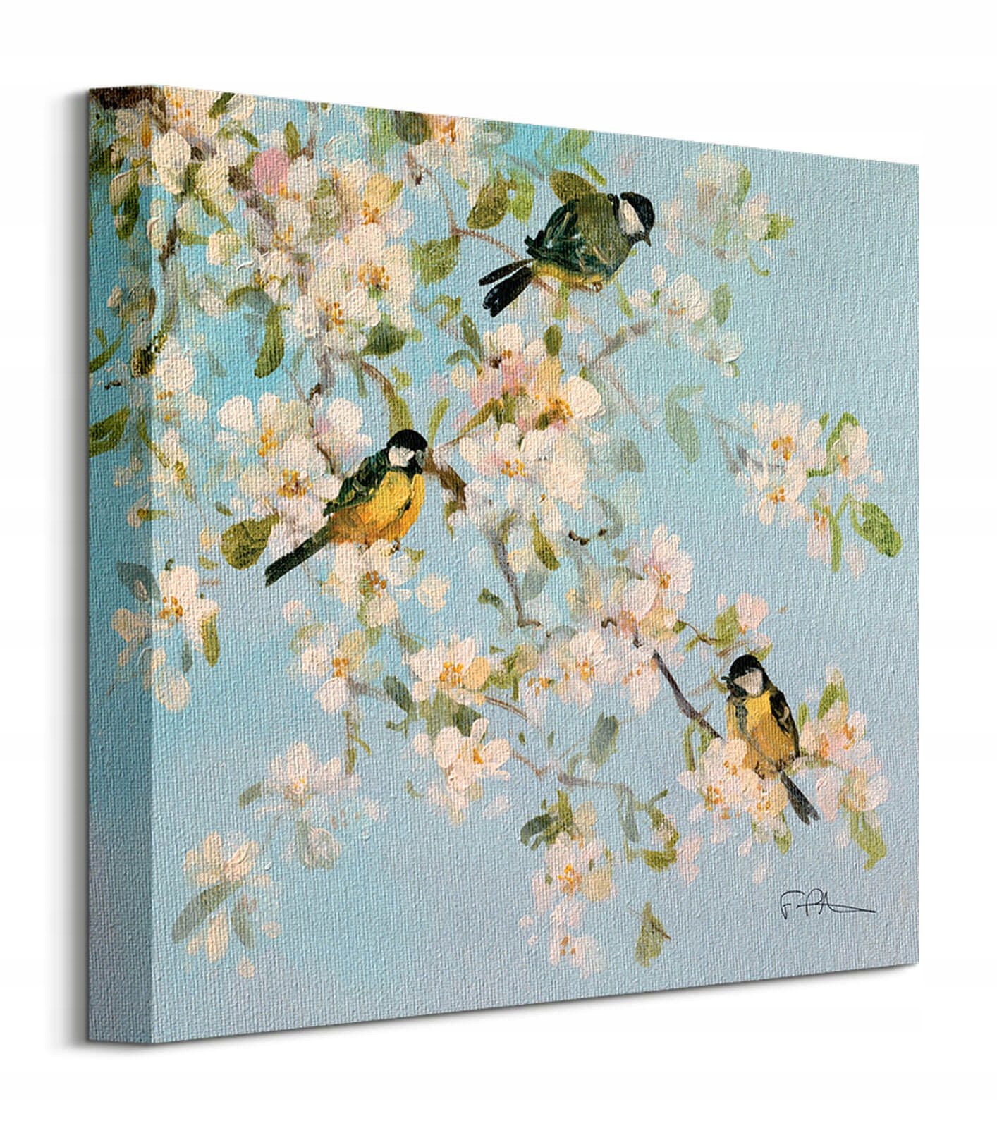 

Obraz Song Birds and Apple Blossom 30x30 cm