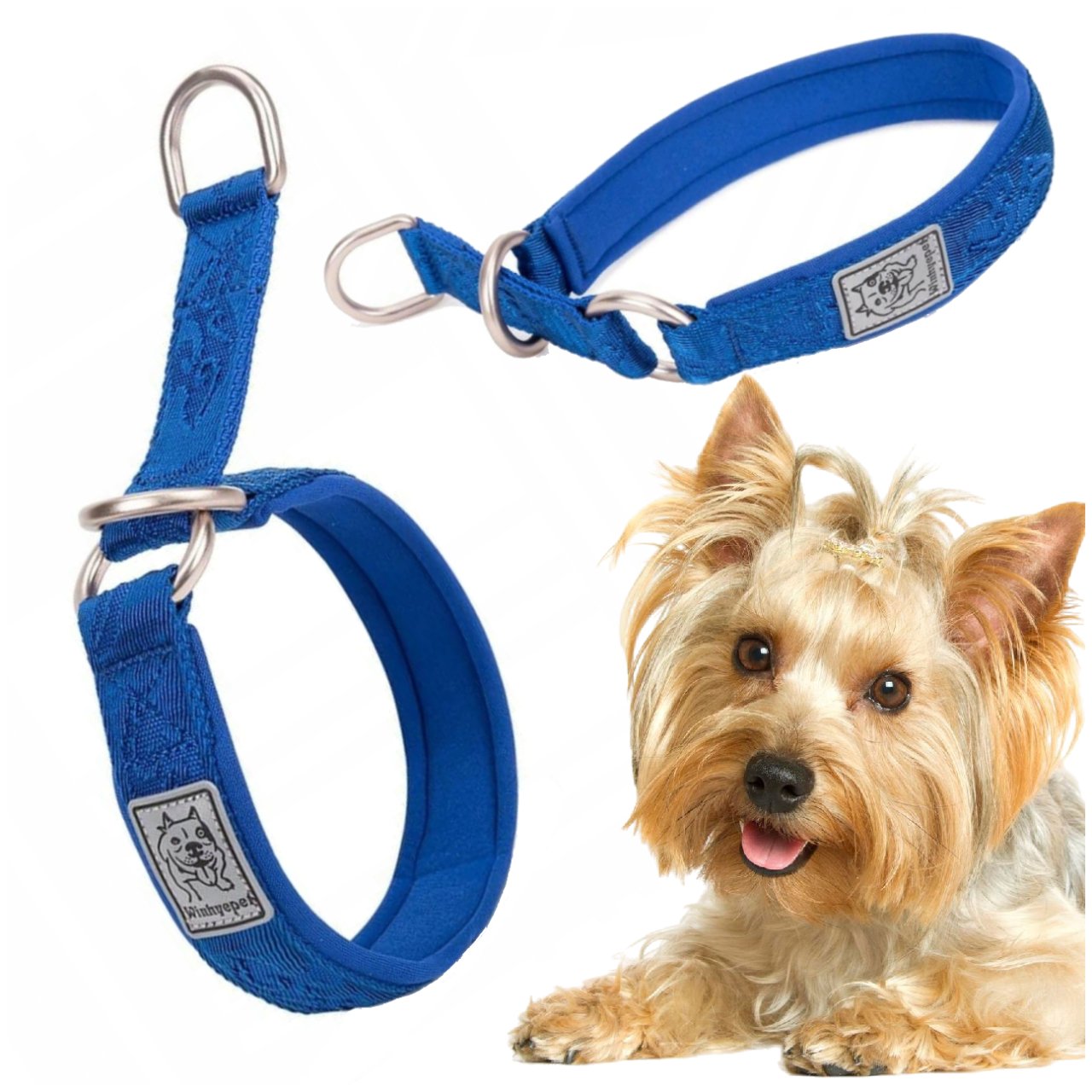 Levně Obojek Pro Psa Polostahovací Pevný Winhyepet Komfort Nošení Tmavě Modrý Xs