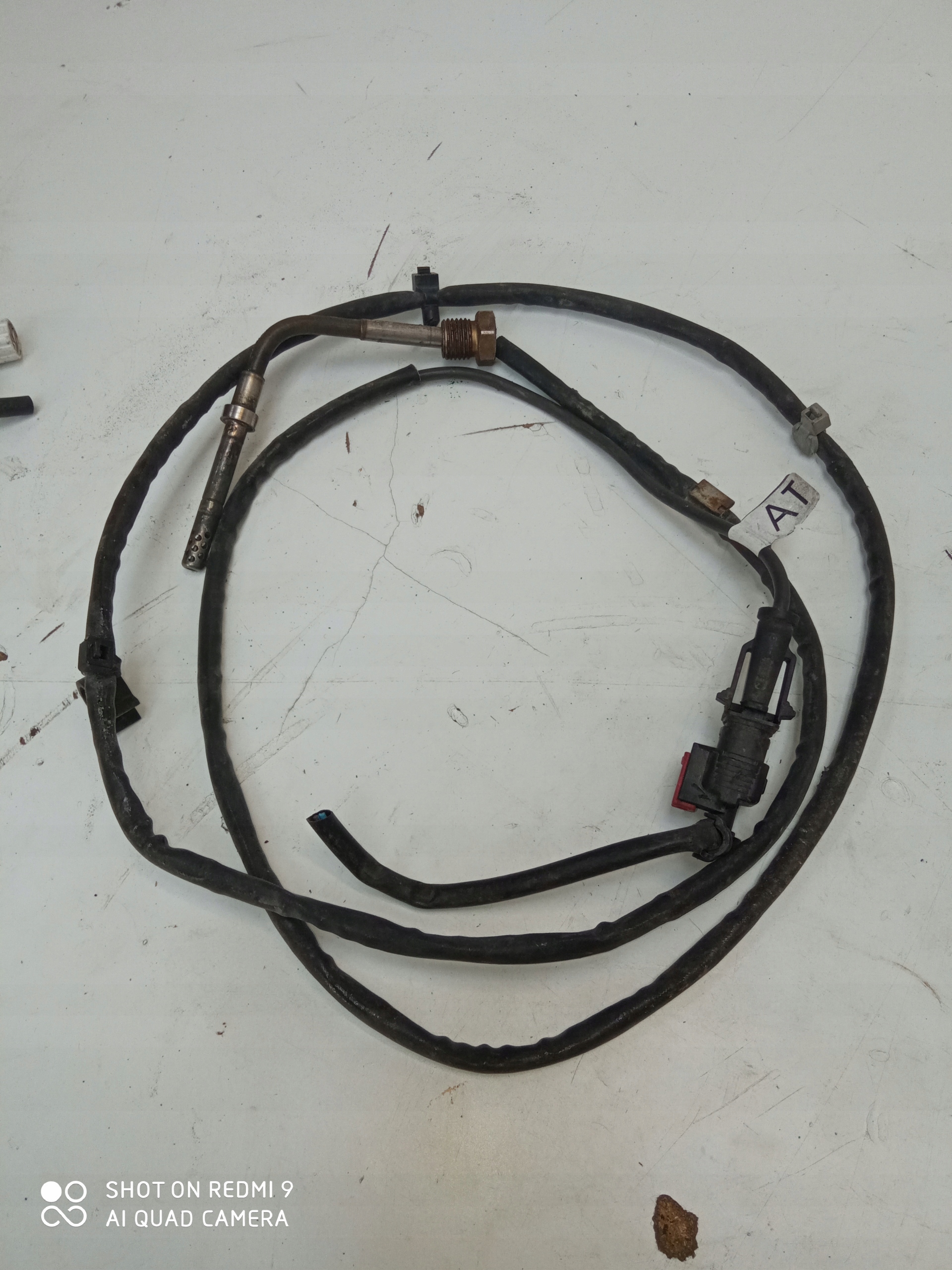 OPEL Sensor TEMPERATURY Gase 55588650