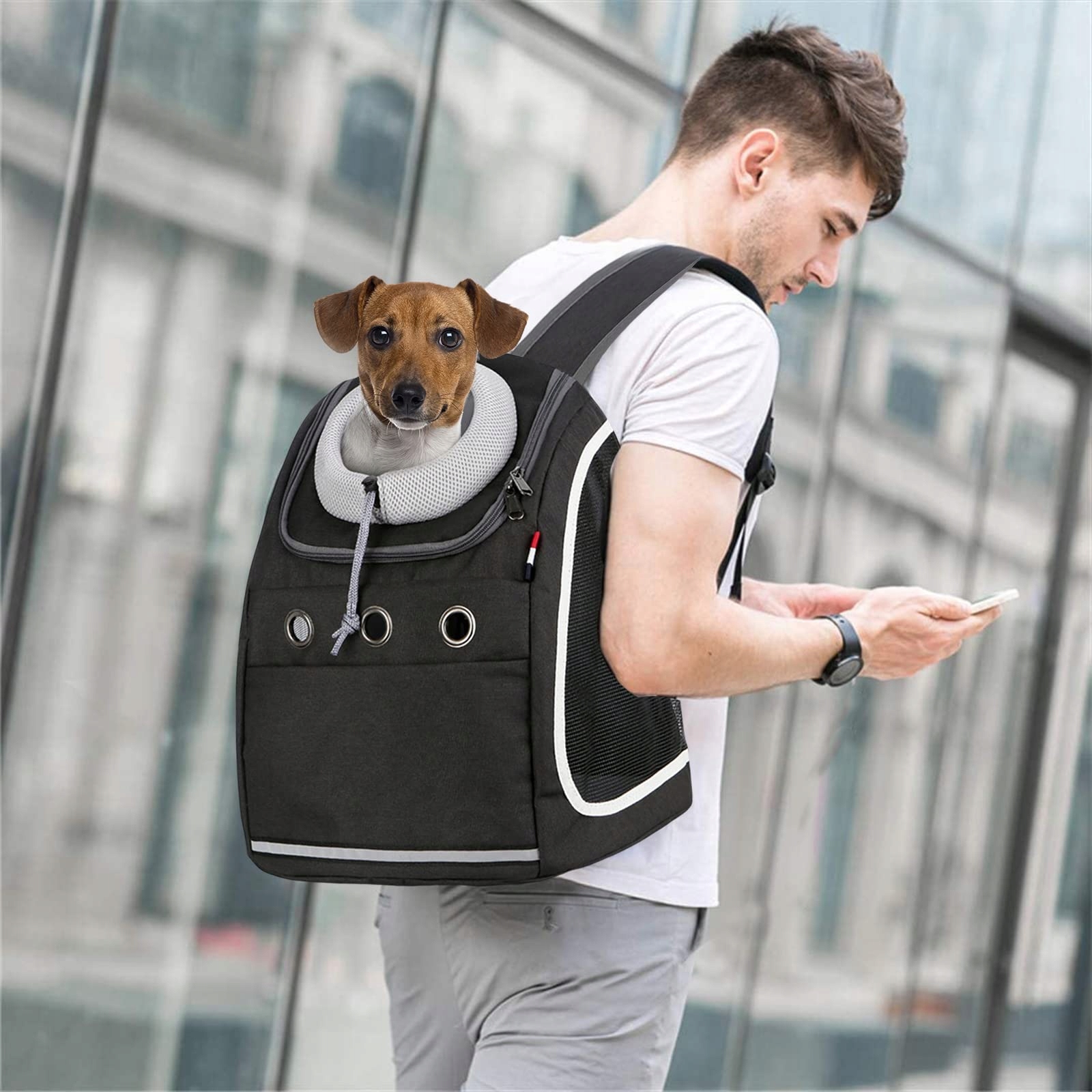 PETCUTE Plecak Transportowy Dla Psów I Kotów Na Wędrówki I Podróże — miniatura 2