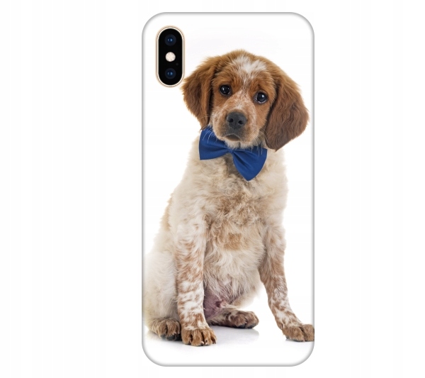 

Etui na telefon iPhone X / Xs Pies spaniel szczeni