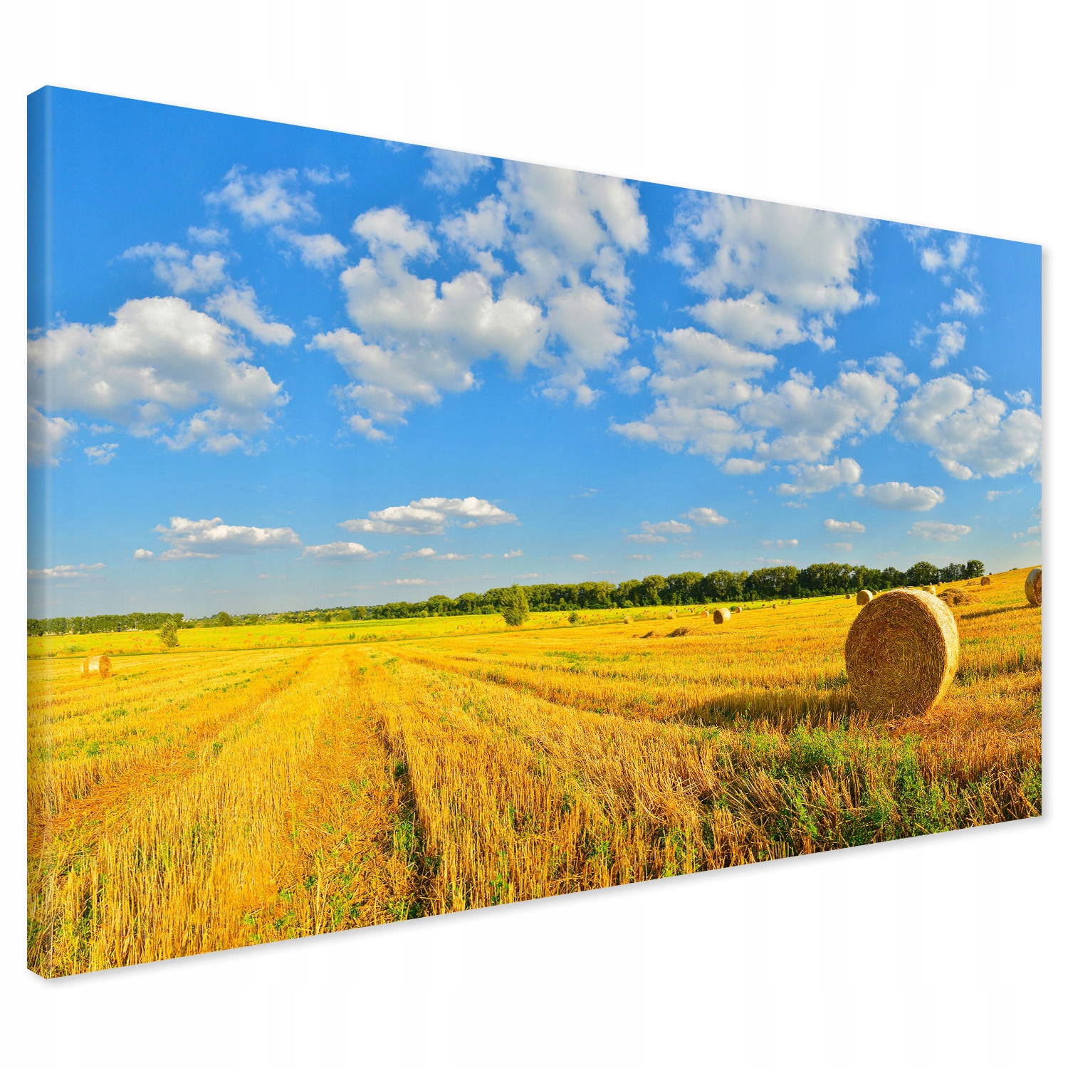 

Obraz na płótnie żniwa rolnictwo zboże 120x80