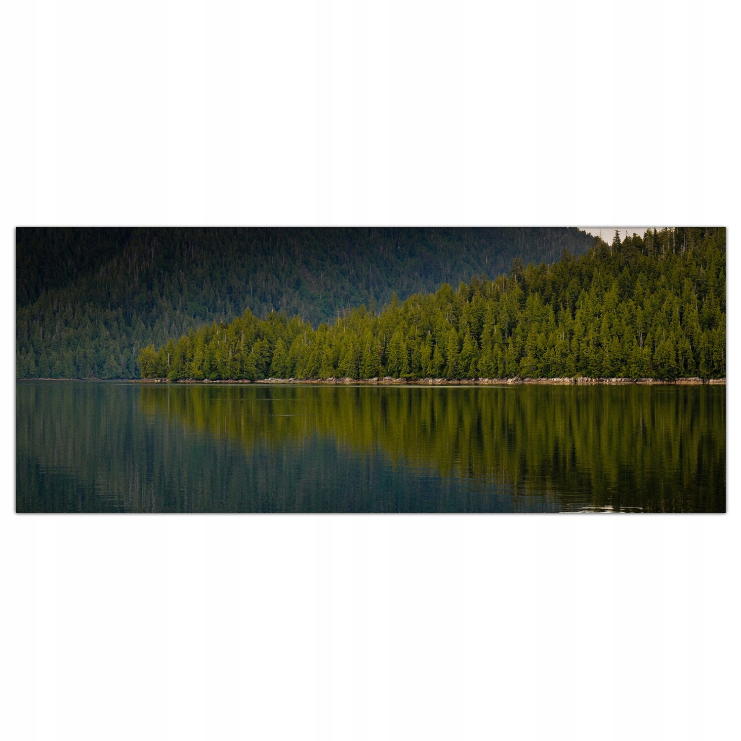 

Hartowany Obraz Szklany Alaska Jezioro Las 125x50