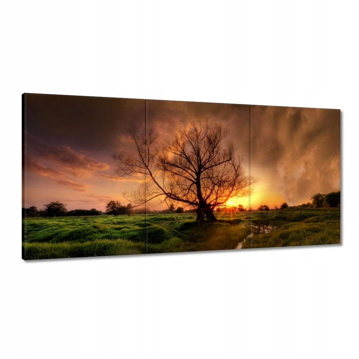 Obrazy 180x90 Dub v Rogaline Západ