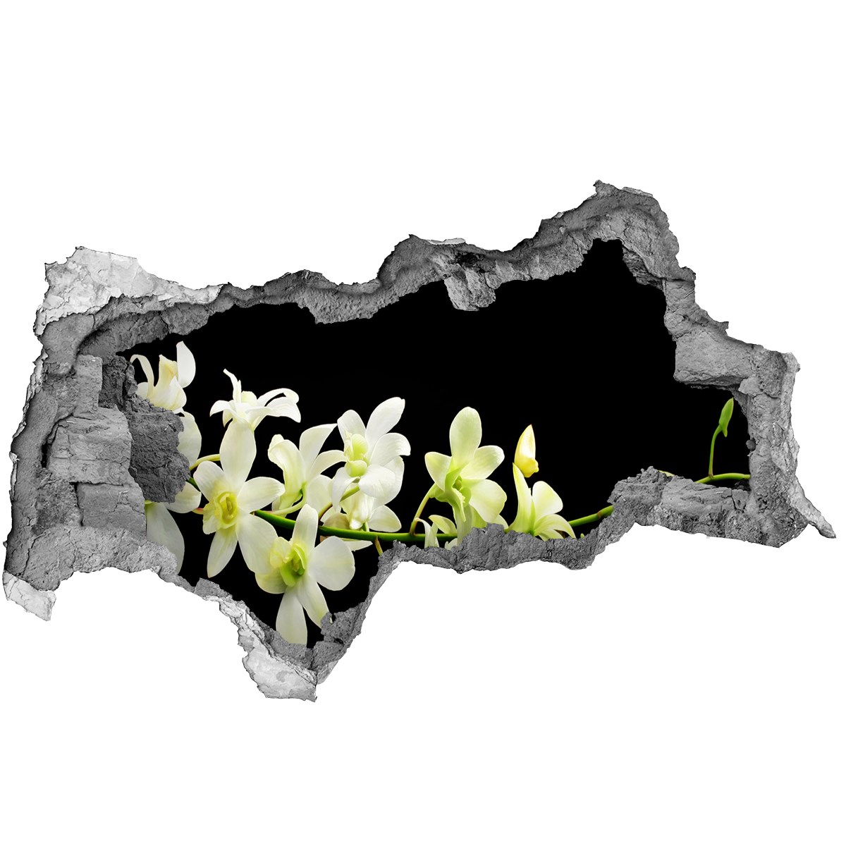 

Samoprzylepna Naklejka fototapeta Orchidea 95x73