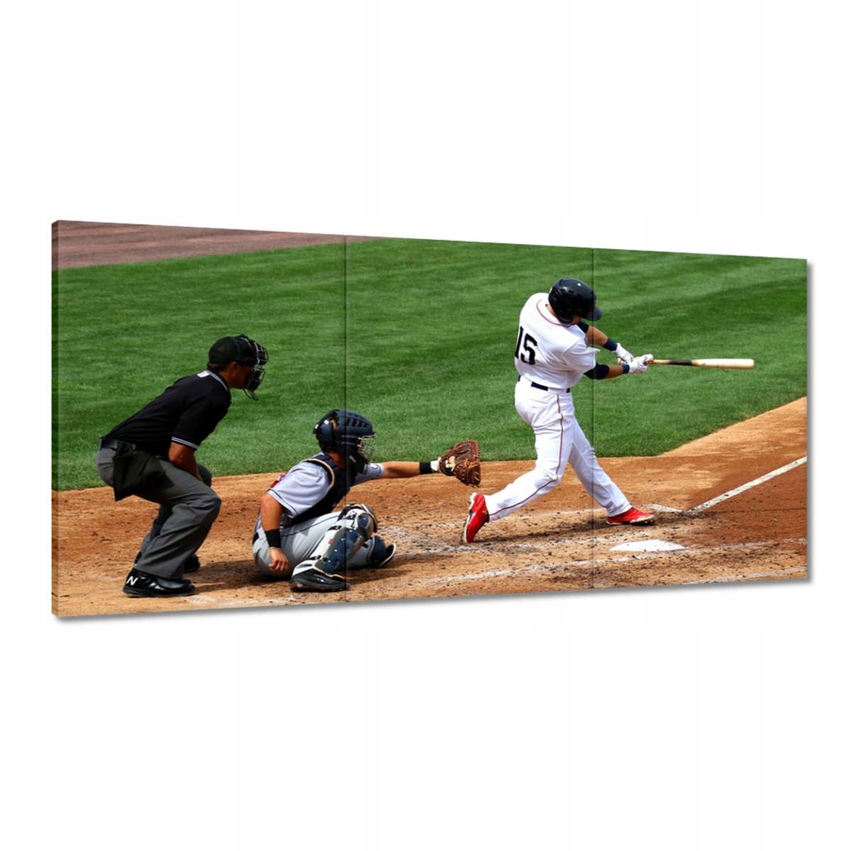 Obrazy 180x90 Baseballový bazénista Usa