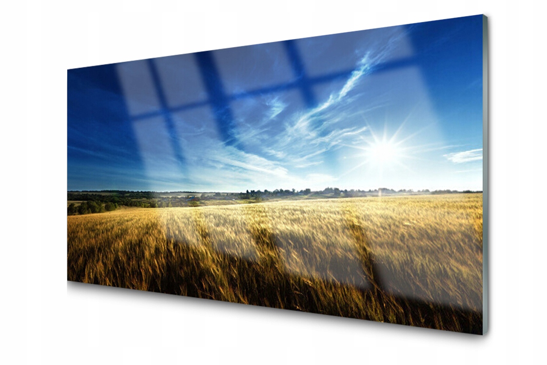 

Panel szklany Płytka Pole Zboże Słońce 100x50