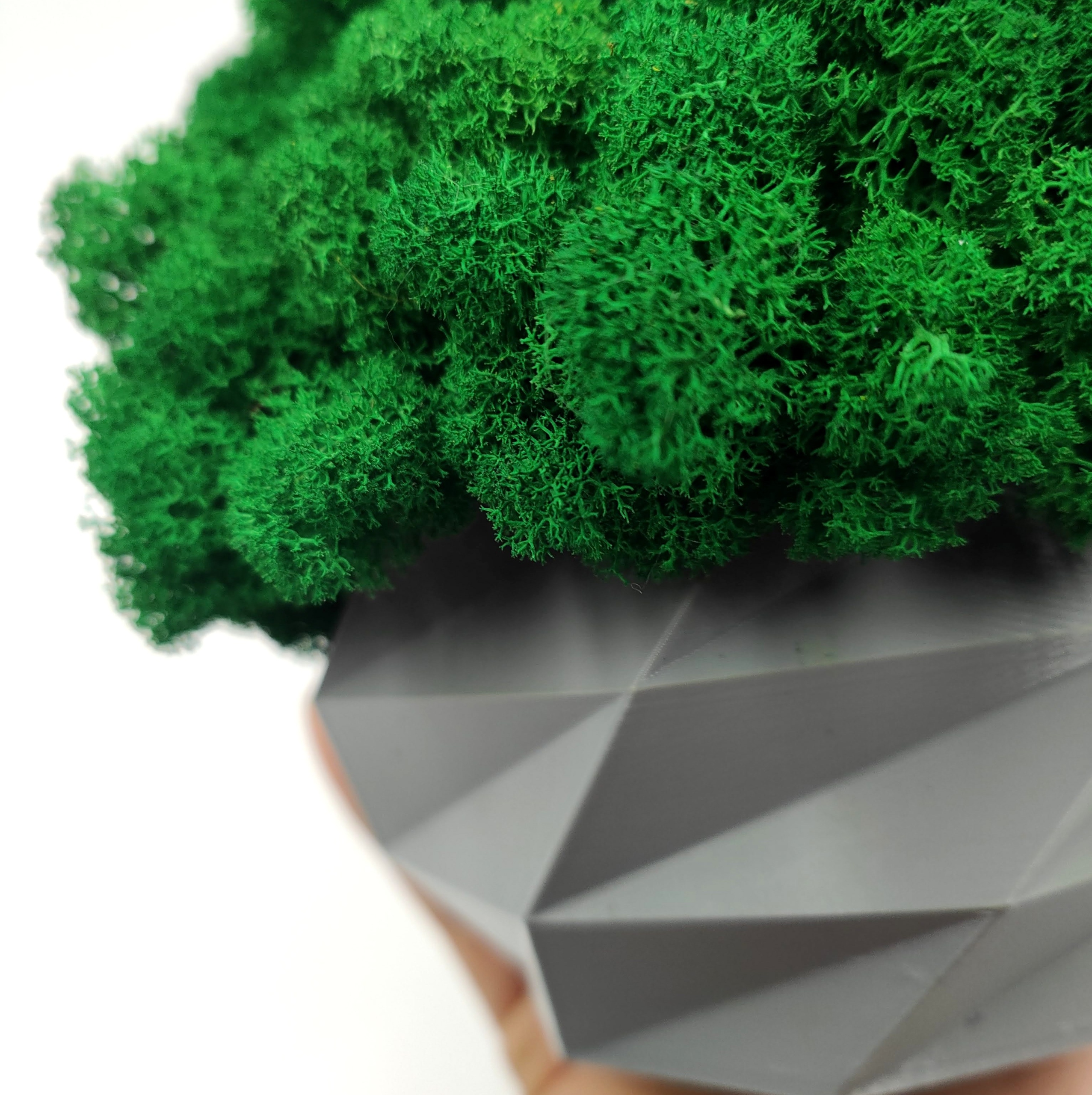 Doniczka z mchem chrobotkiem 18cm MECH CHROBOTEK w doniczce szara druk 3d Kolor szary