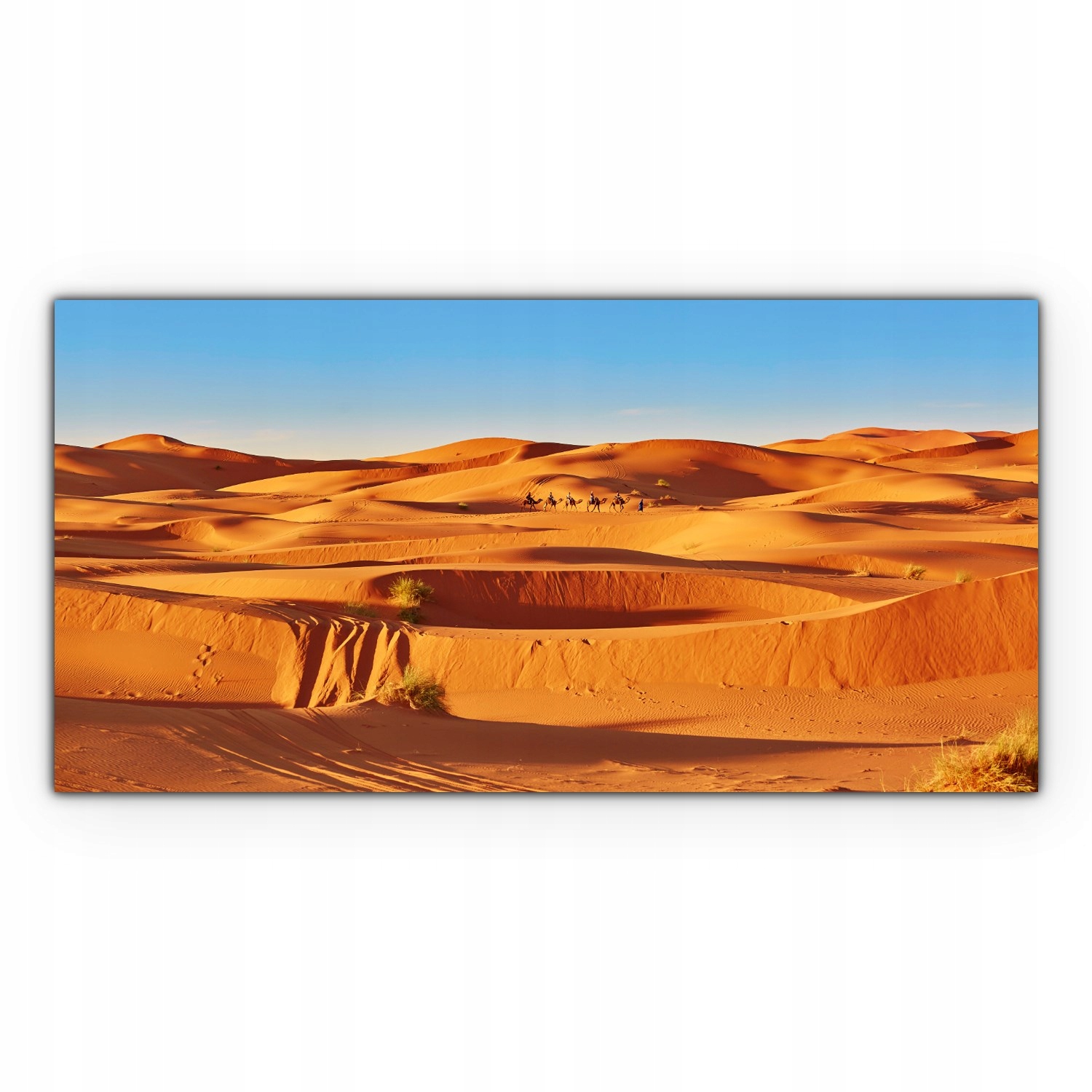 

Obraz na płótnie do salonu 120x60 Wielbłąd Sahara